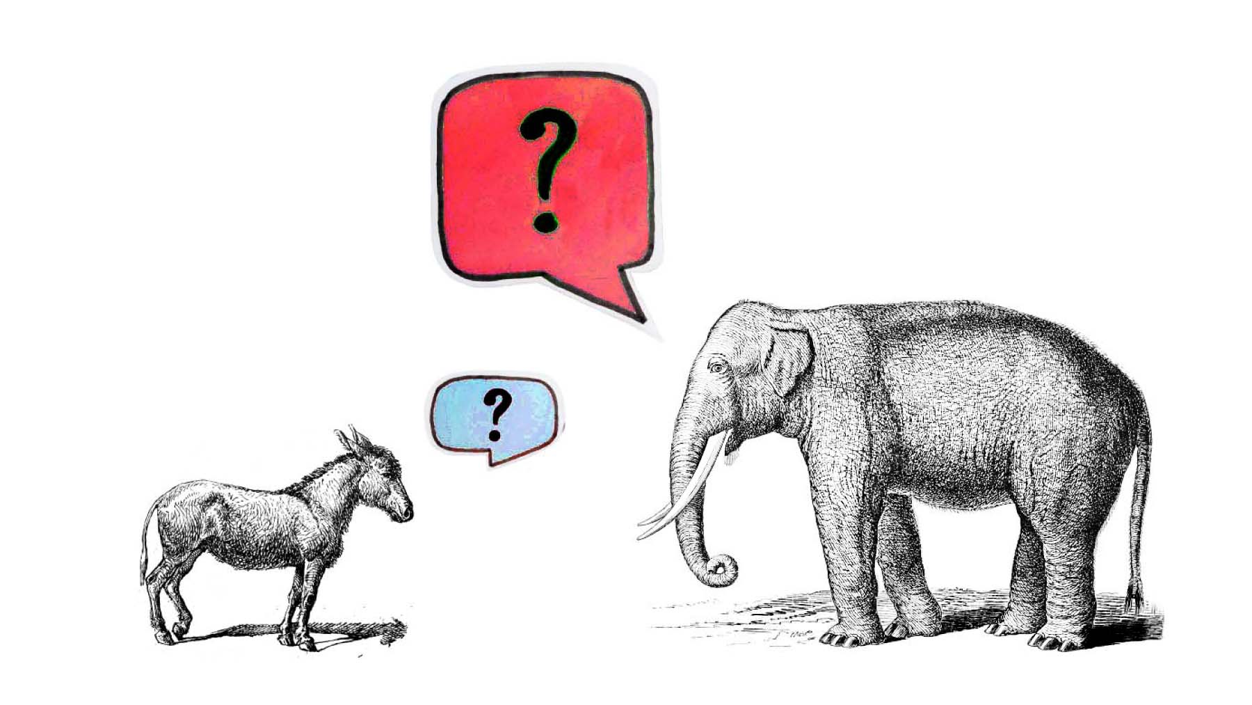 An illustration shows a small donkey with a blue question mark over its head, on the left, and a larger elephant, with a larger red question mark, on the right.