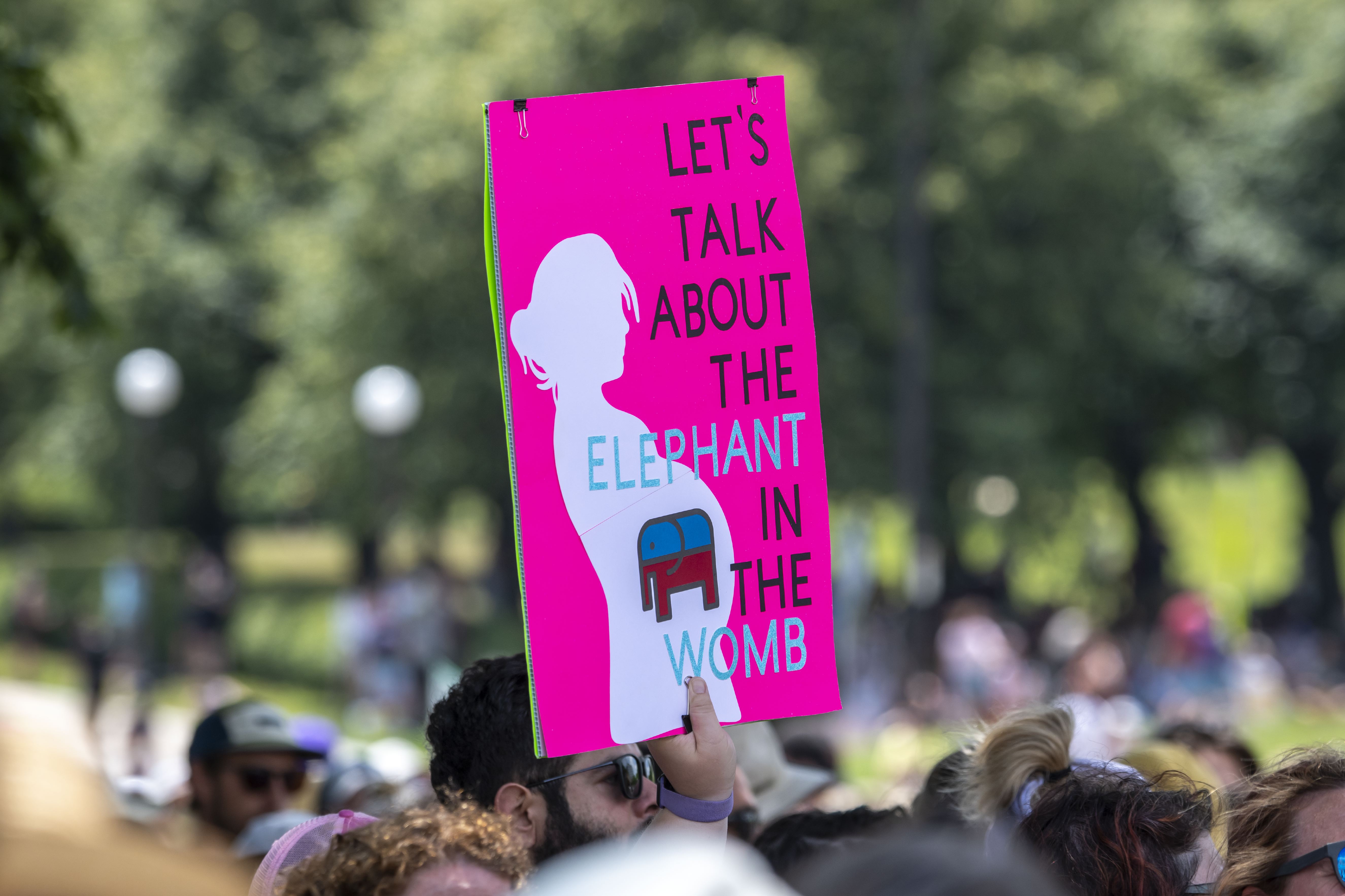 A protest sign with an outline of a pregnant person with a Republican elephant symbol over its midsection and the words “Let’s talk about the elephant in the womb.”