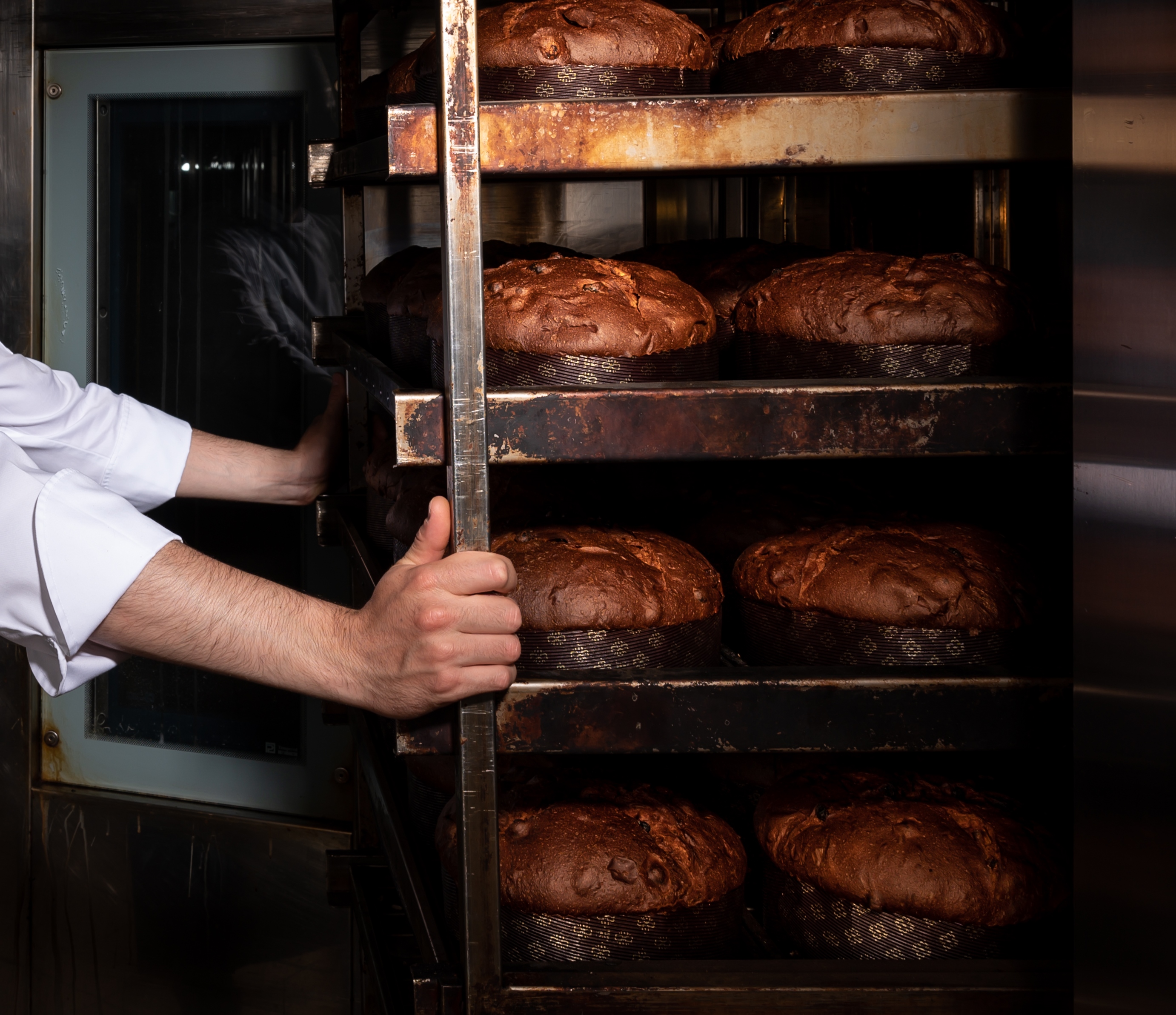 A baker’s hands hold the sides of a rack with trays of panettoni on it.