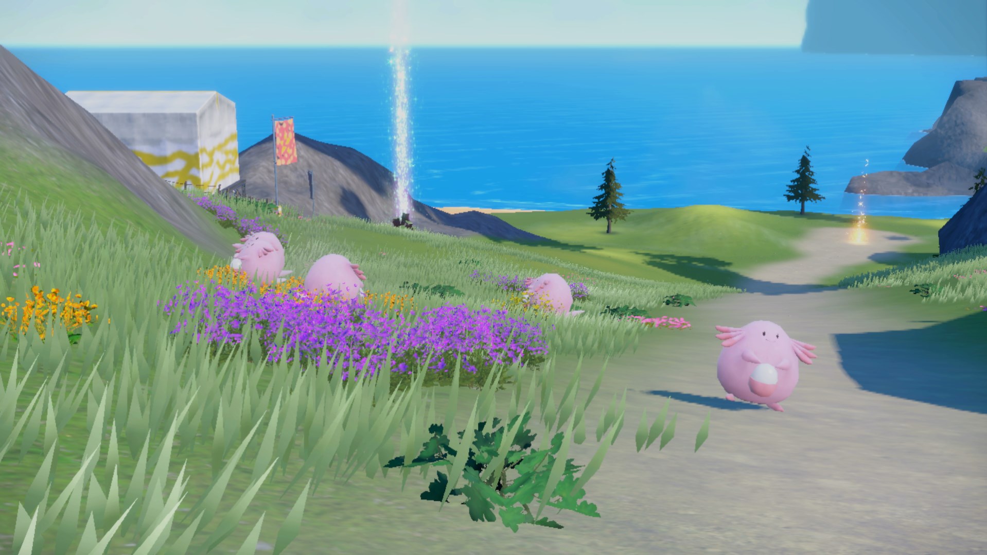 A bunch of unsuspecting Chansey are hanging out in a flower field, unaware of what is about to happen to them