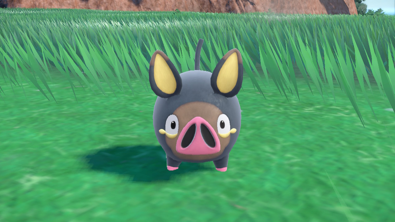 Lechonk, a small pig Pokémon in Scarlet and Violet, raises its ears in surprise and/or aggression.