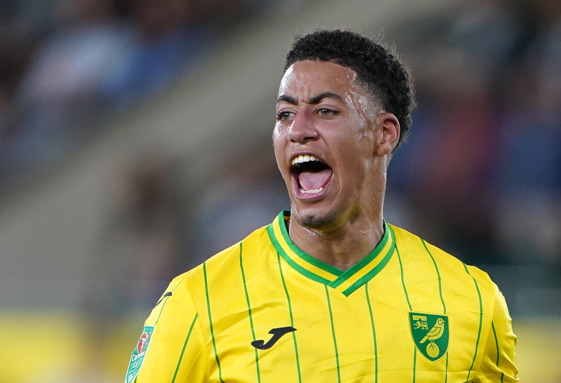 Norwich City v AFC Bournemouth - Carabao Cup - Second Round - Carrow Road