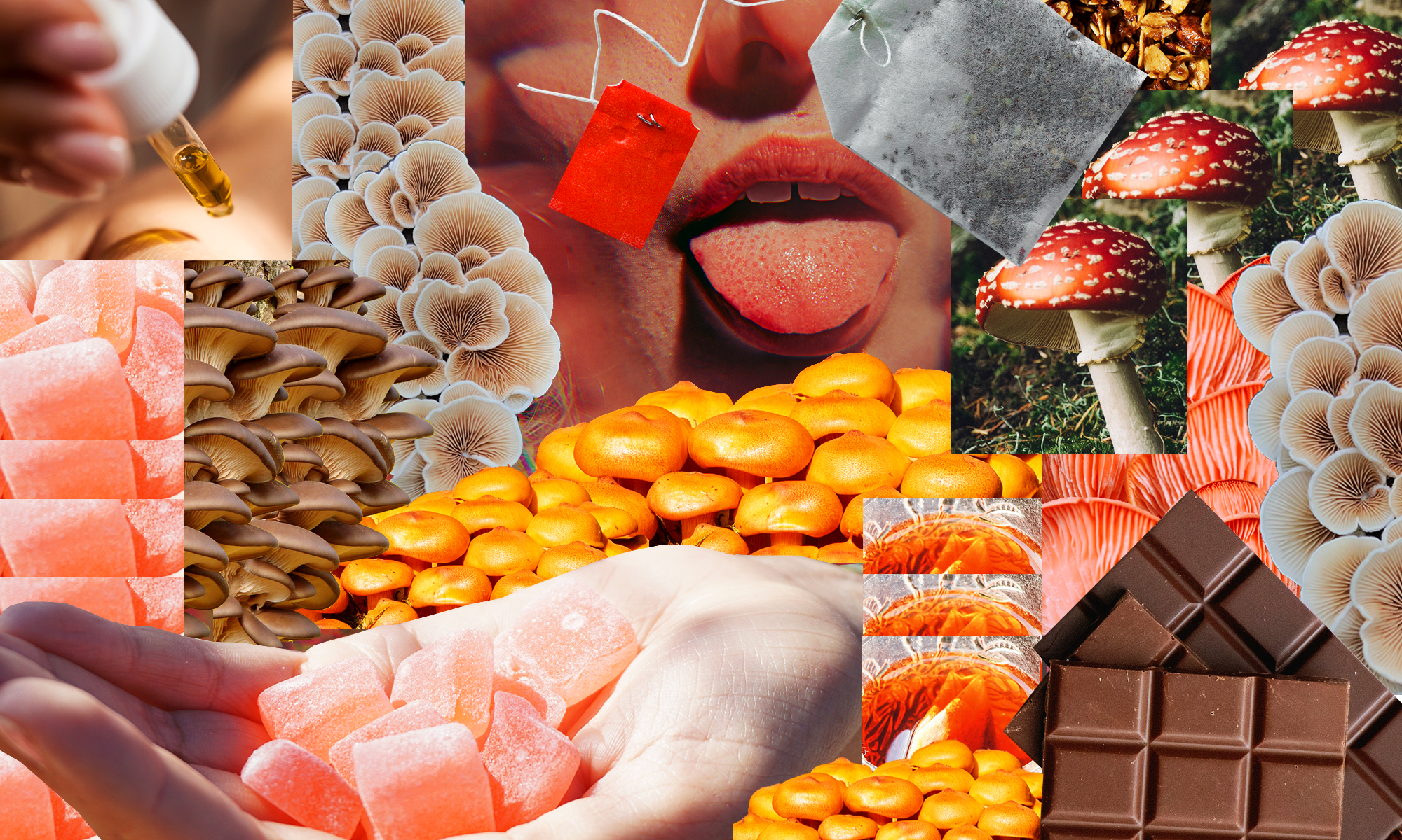 A photo collage featuring mushrooms, gummies, and chocolate 