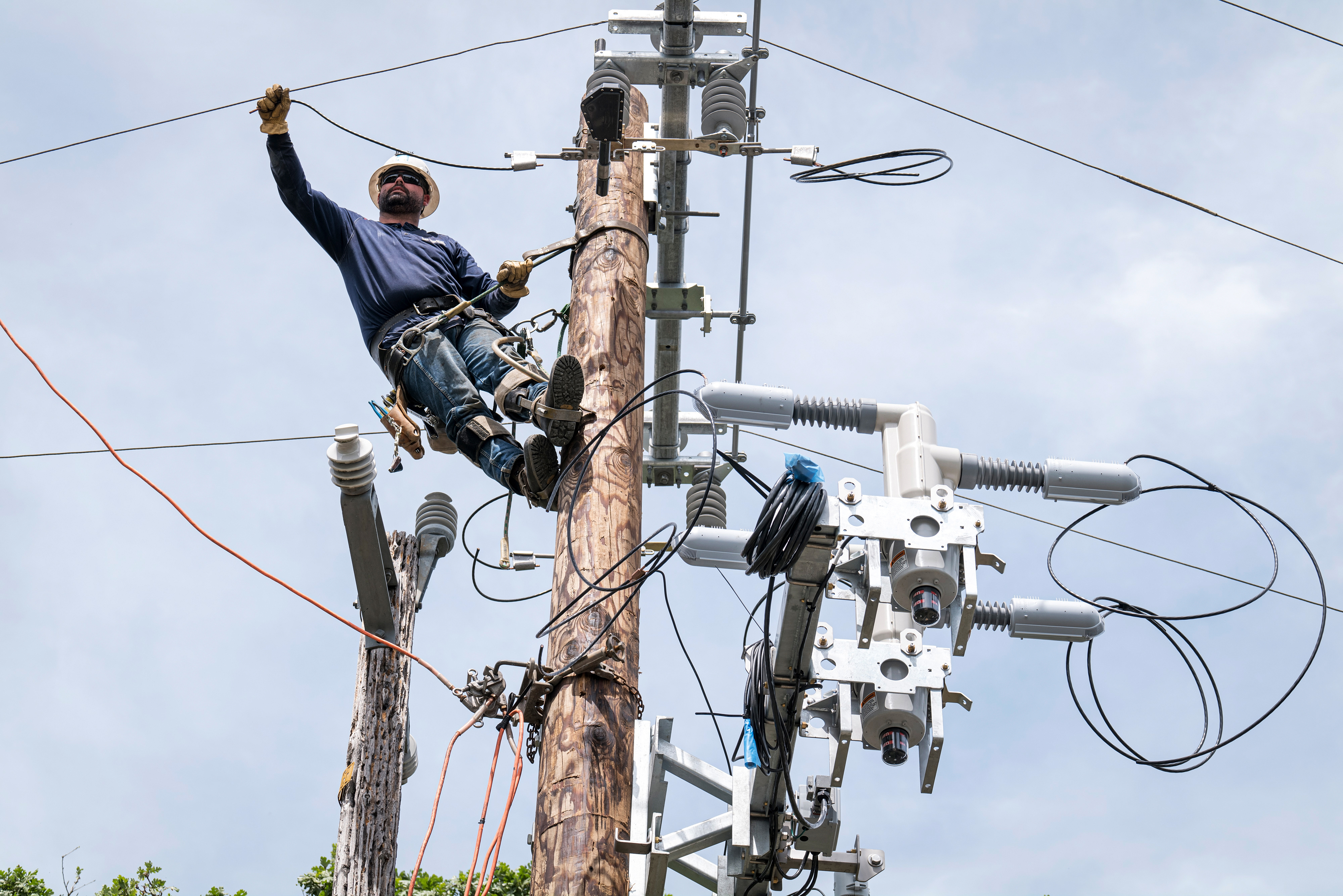 A man in a hardhat is seen at nearly the top of a utility pole, in a harness, a wire in one hand.