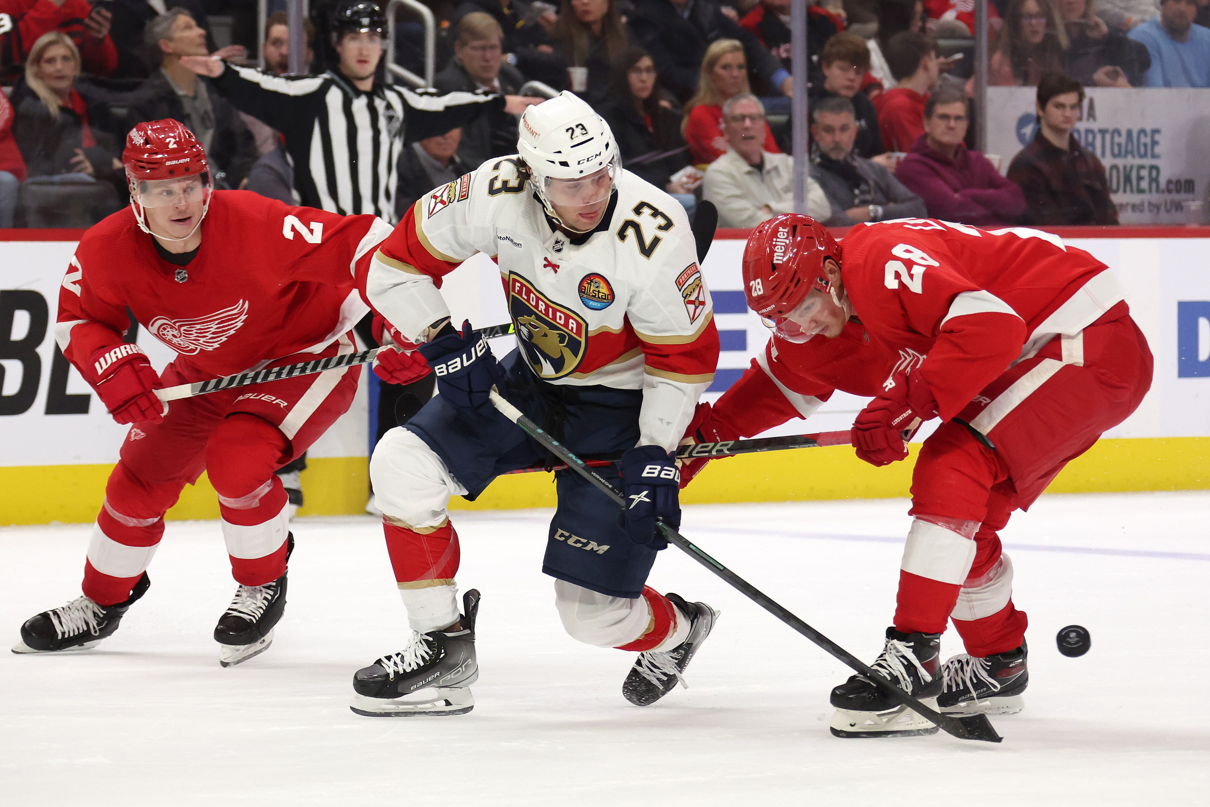 Florida Panthers v Detroit Red Wings