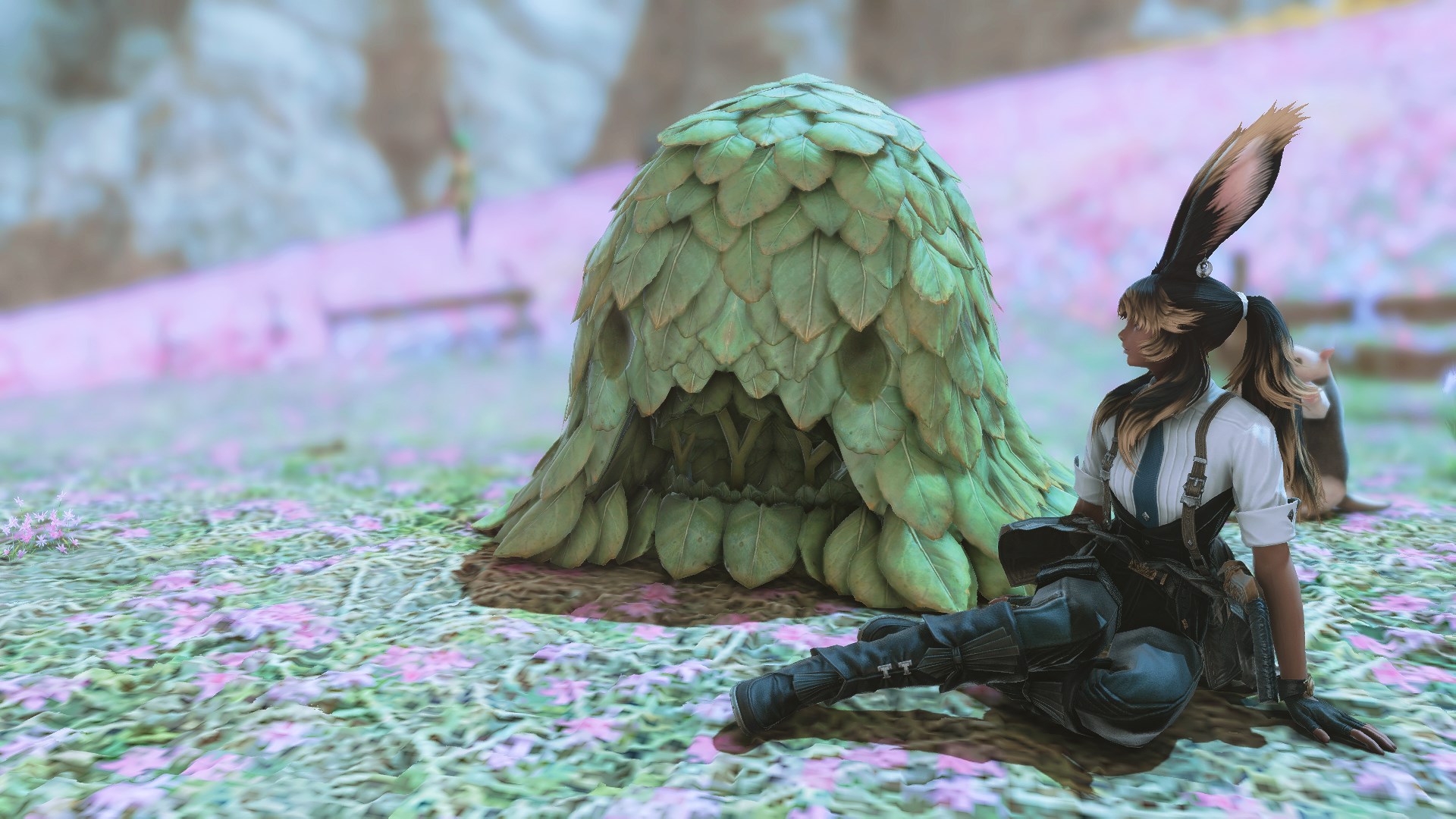 A Viera sits and stares as a living pile of leaves known as Anden