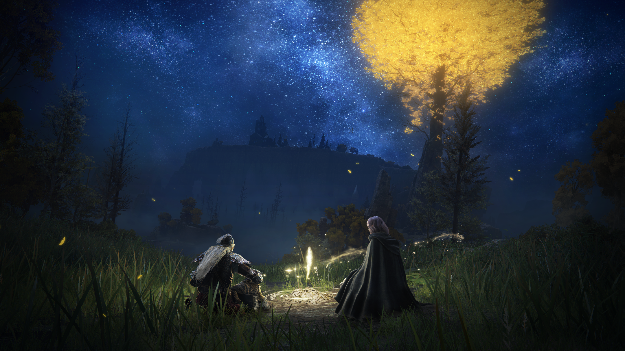 The player character in Elden Ring sitting with Melina at a site of grace. The night sky blazes with stars, and a tall tree in the background emits light.