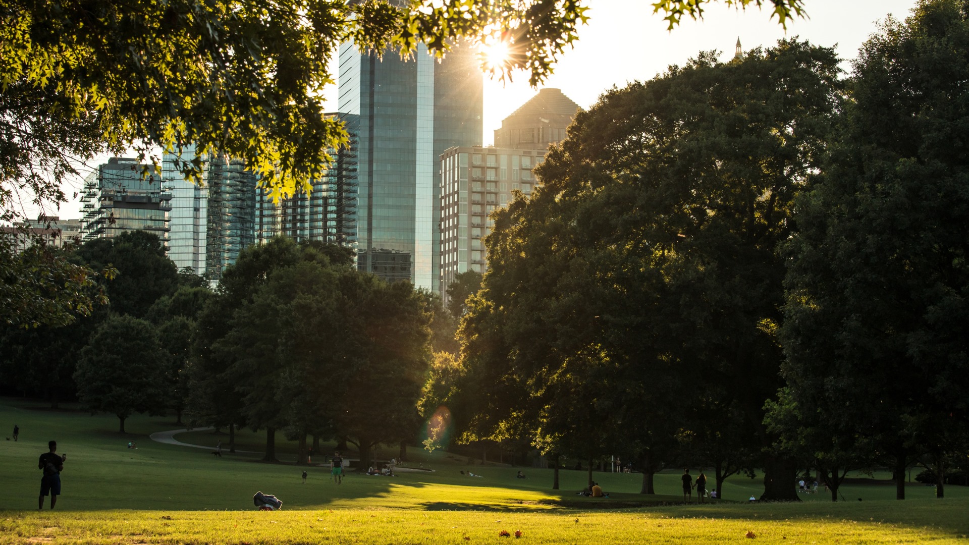 The sun setting over the skyscrapers provides a warm glow overlooking a grassy meadow in Piedmont Park on a summer evening in Atlanta, GA. 