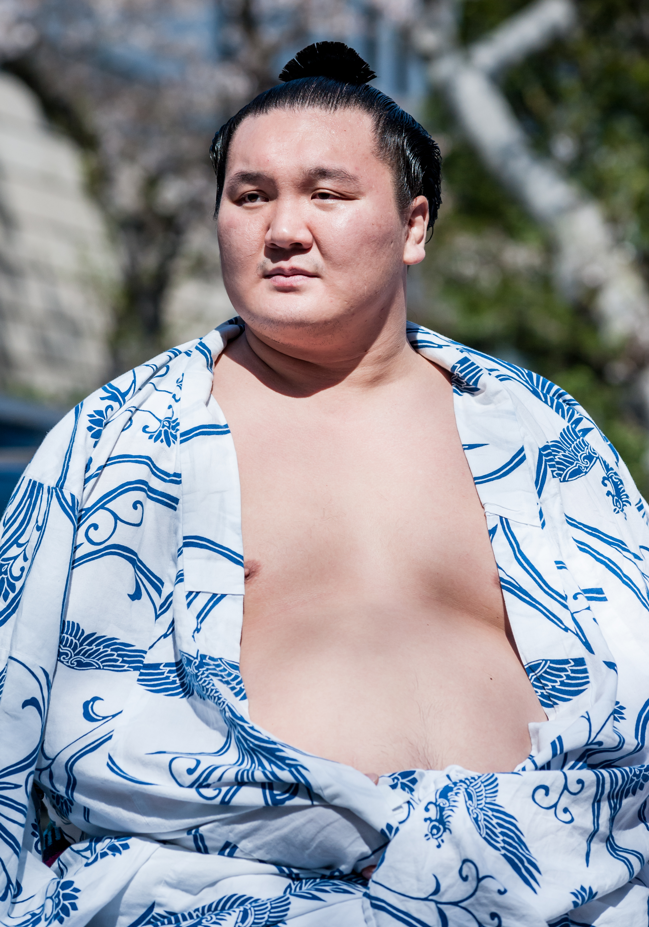 Hakuho at the Yasukuni Shrine Ceremonial Sumo Tournament