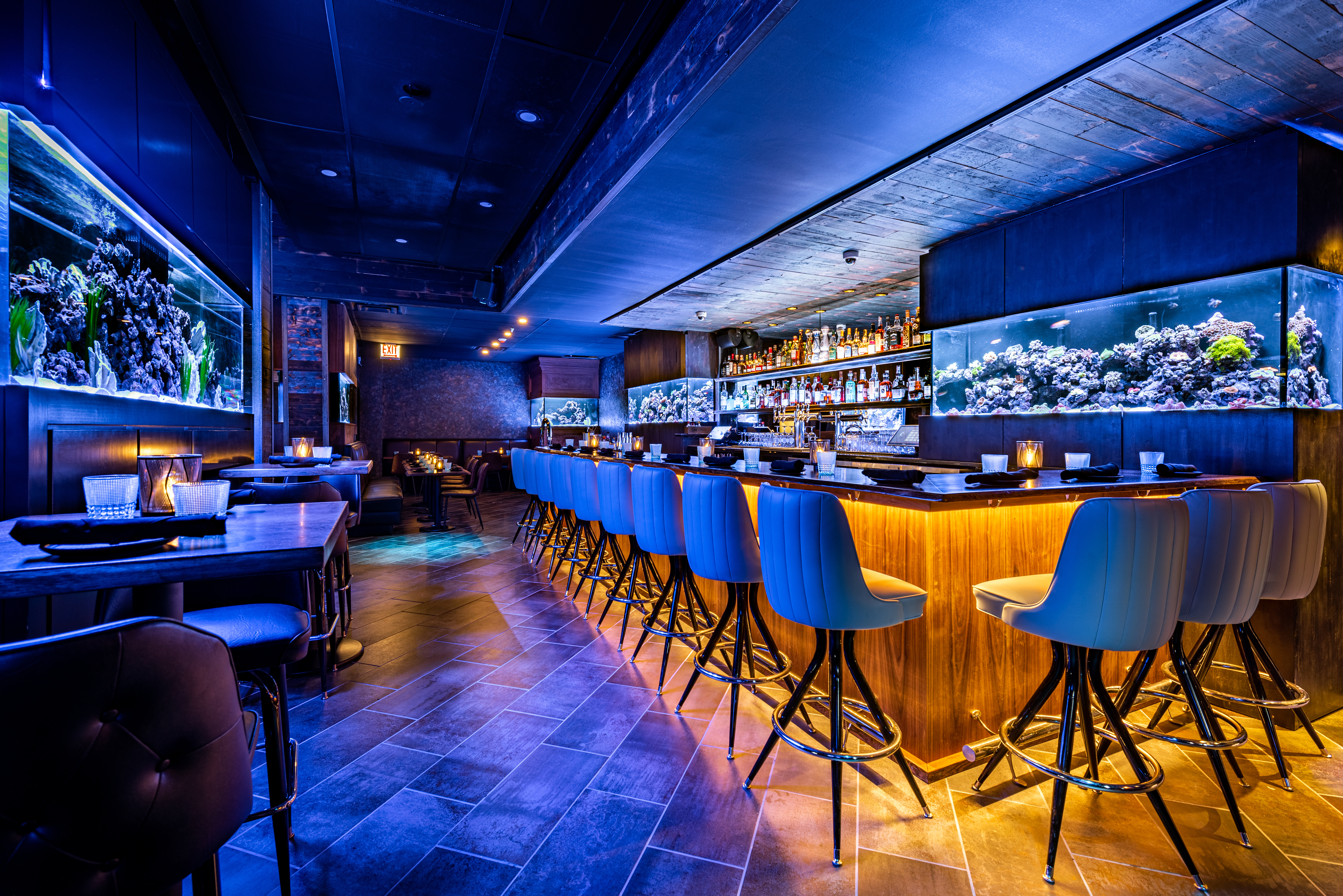A bar space cast in blue light with large aquariums around the room.