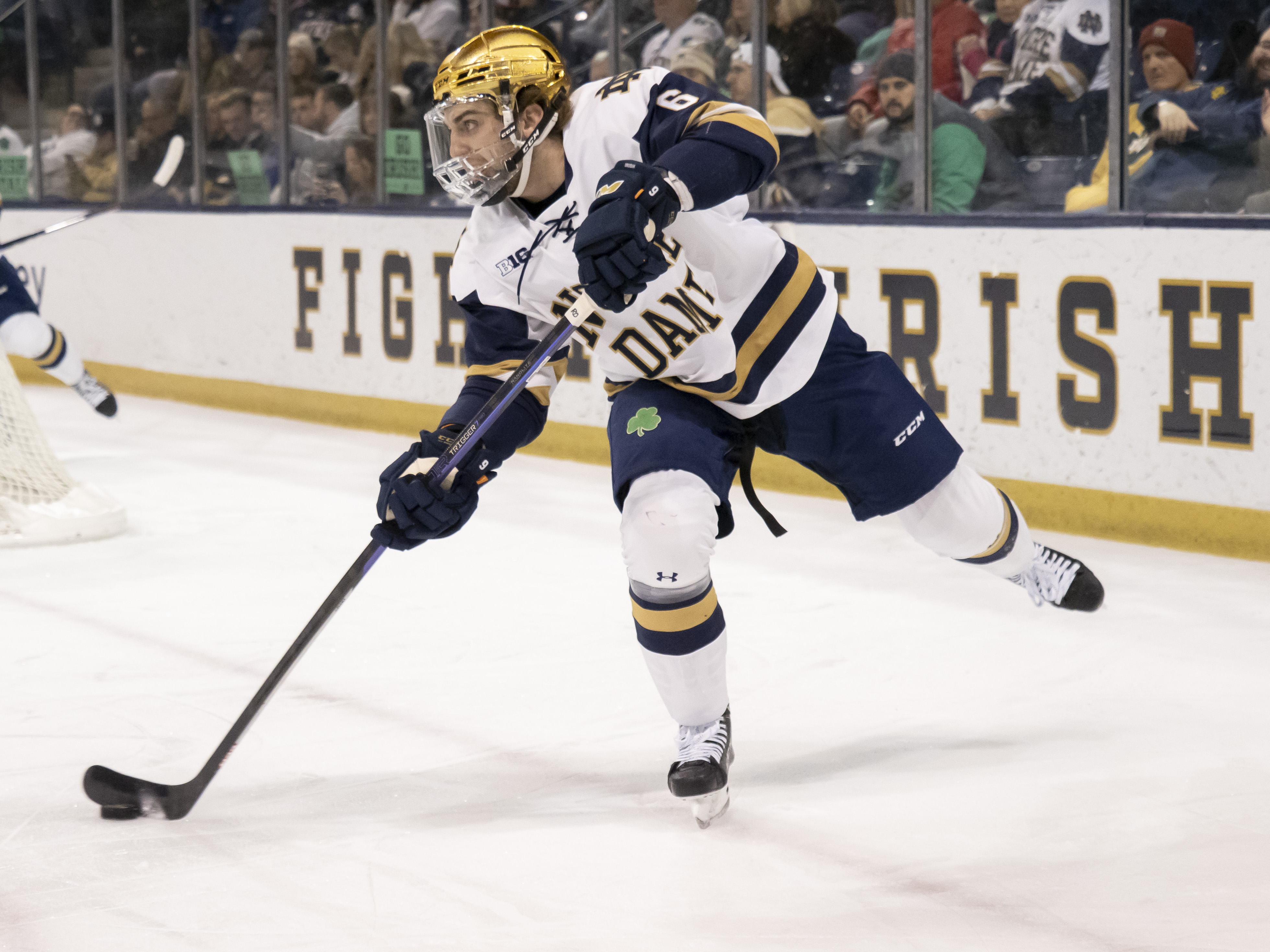 COLLEGE HOCKEY: JAN 28 Wisconsin at Notre Dame