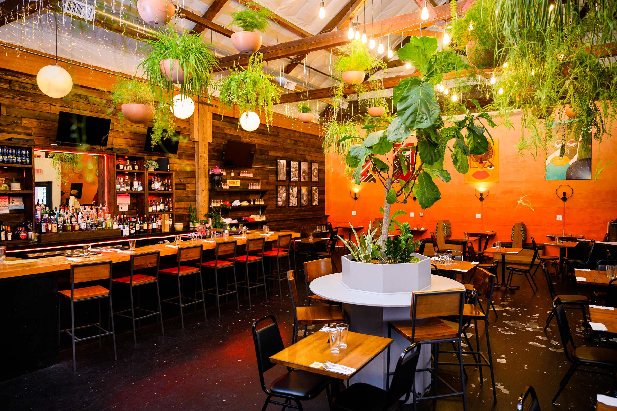 Plants hang from the rafters in the colorful dining room at Akadi in Southeast Portland.