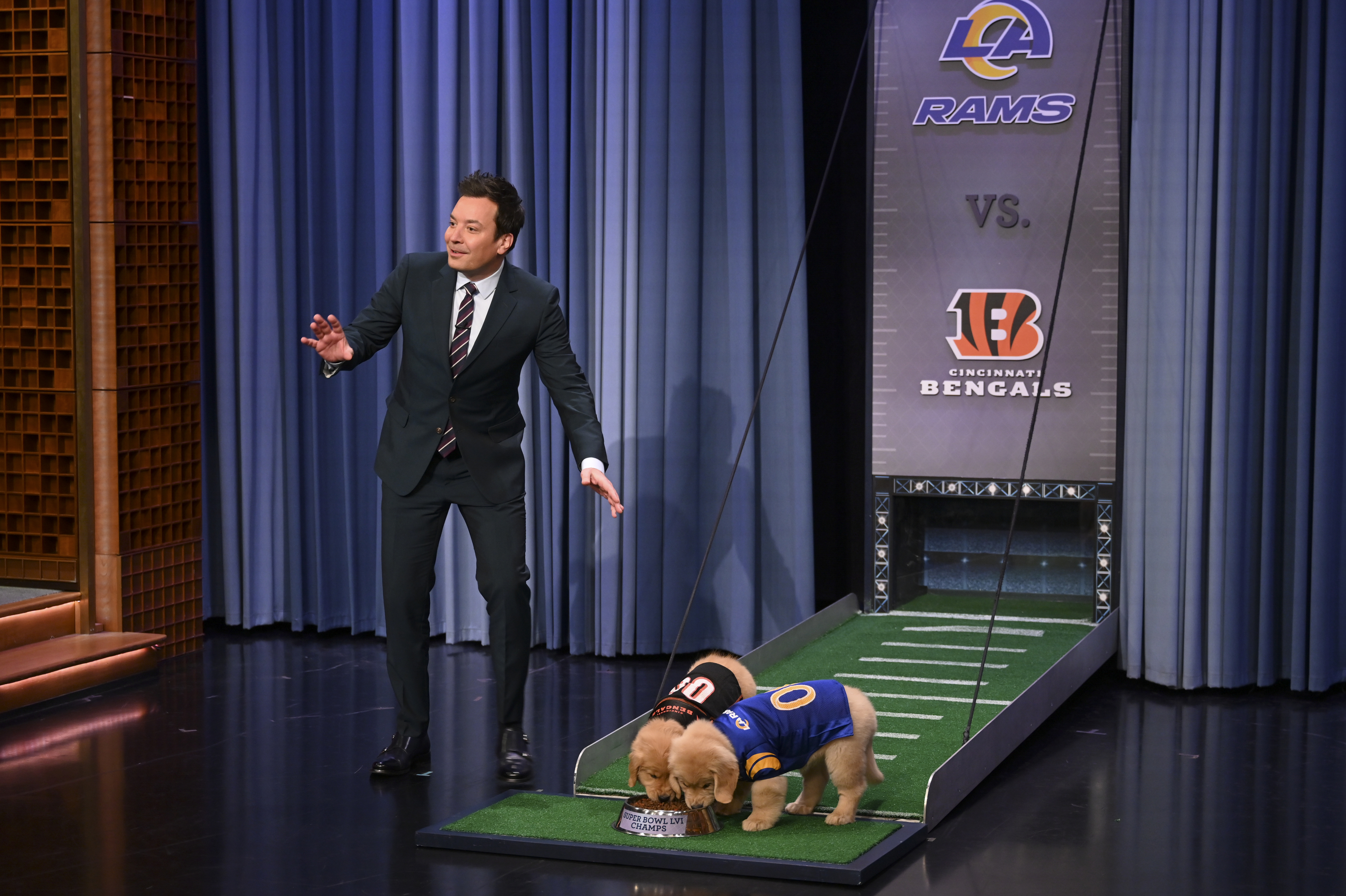 THE TONIGHT SHOW STARRING JIMMY FALLON — Episode 1595 — Pictured: Host Jimmy Fallon during Puppy Predictors: Super Bowl 56 on Monday, January 31, 2022 —