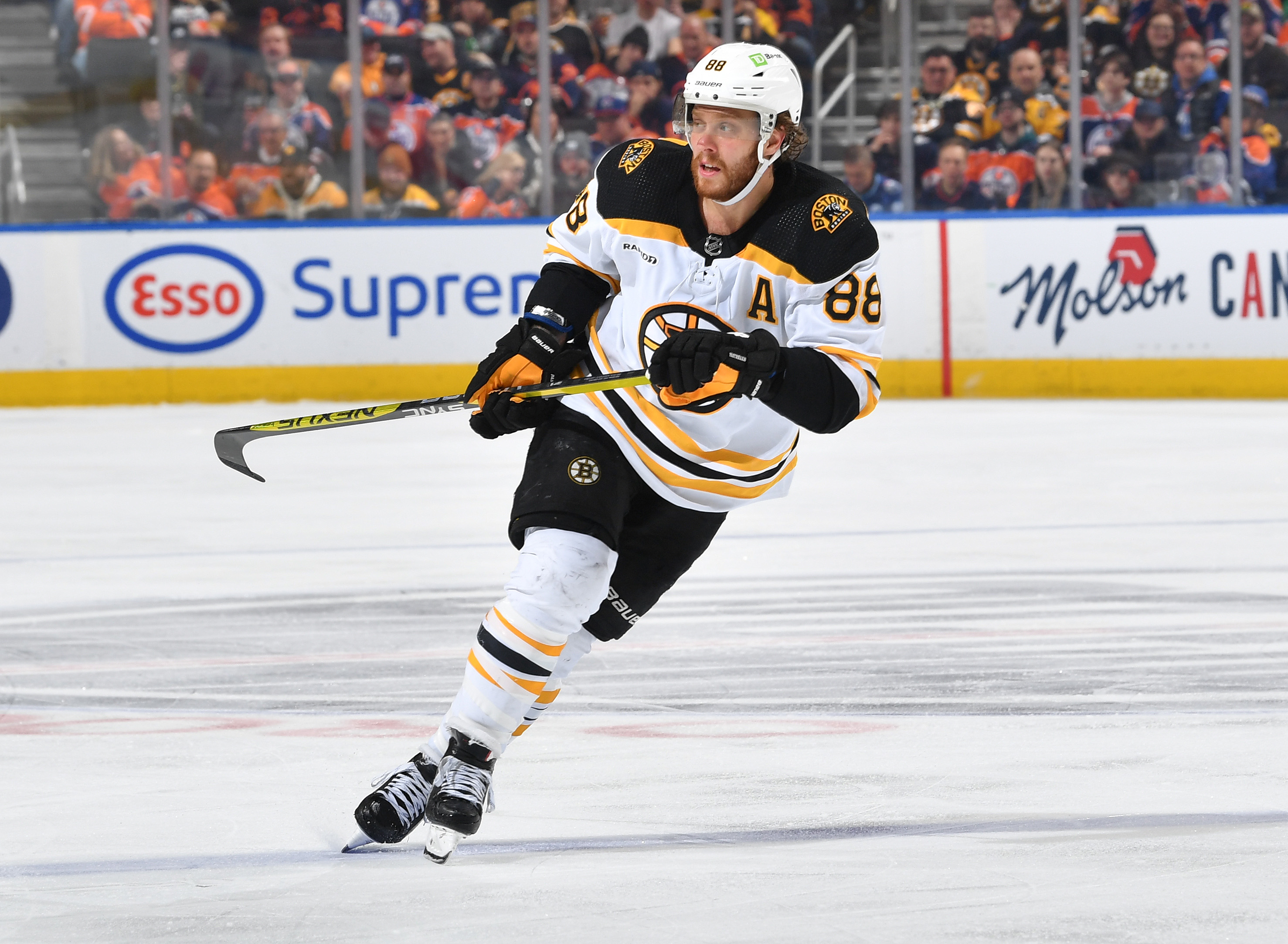 David Pastrnak #88 of the Boston Bruins skates during the game against the Edmonton Oilers on February 27, 2023 at Rogers Place in Edmonton, Alberta, Canada.