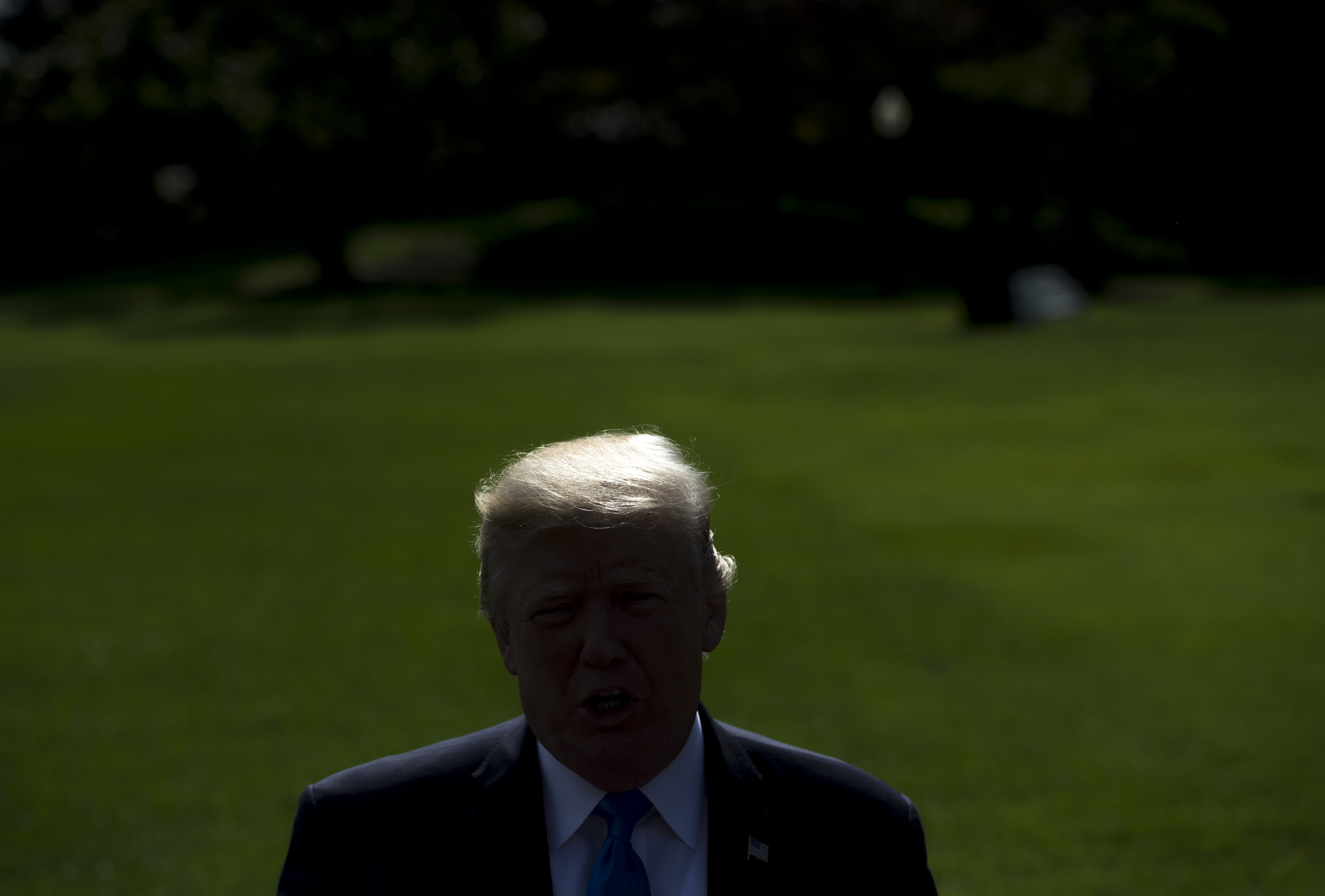 Trump seen from the shoulders up, in shadow, with the South Lawn in the background. 