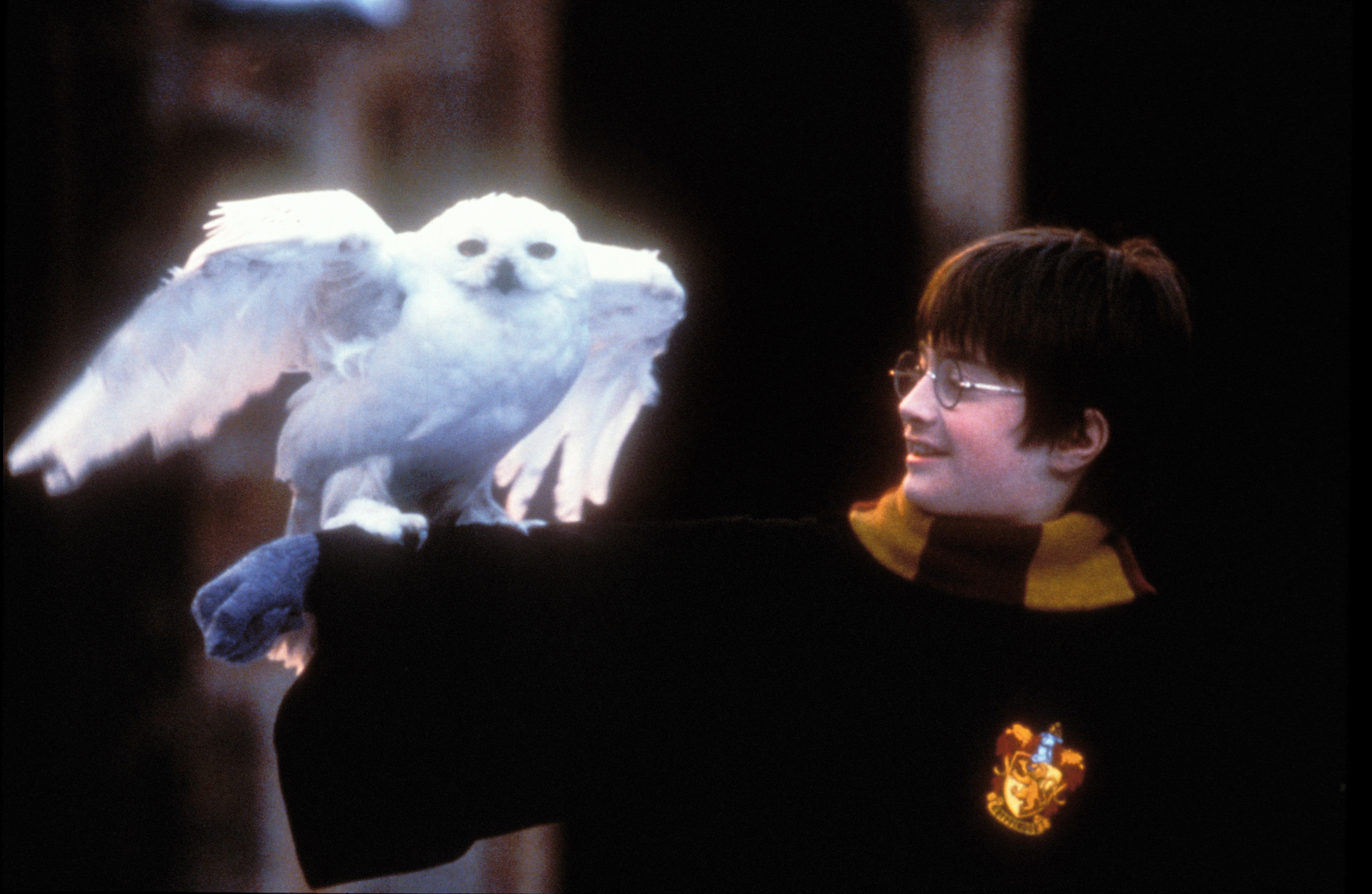 11-year-old Daniel Radcliffe, in his Harry Potter costume, grins at a brightly lit model for Harry’s snowy owl Hedwig in a promotional set photo from Harry Potter and the The Sorcerer’s Stone