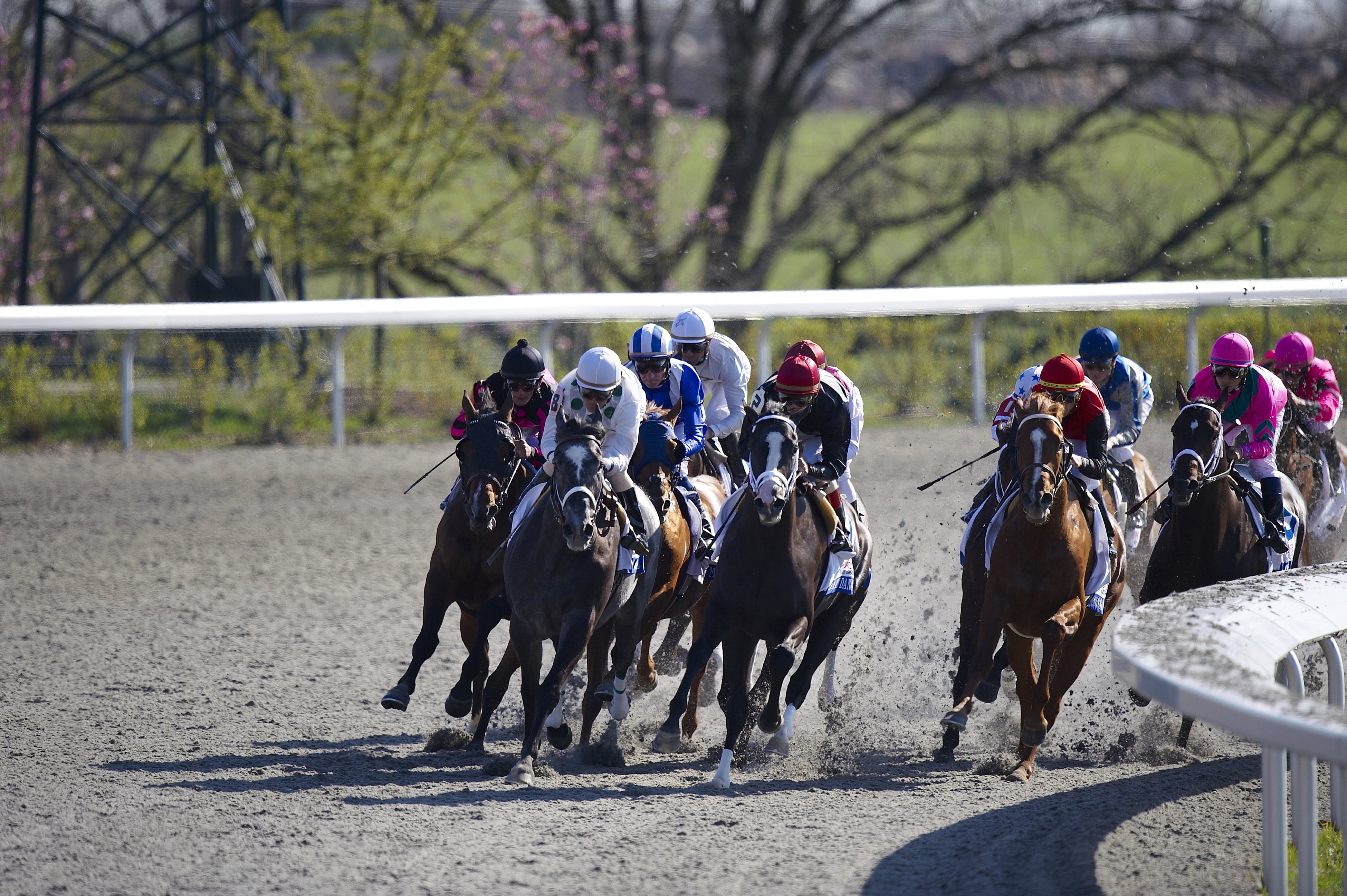 Eibar Coa in action aboard General Quarters (8) during race at Keeneland Race Track. Grade I Blue Grass Stakes.&nbsp;