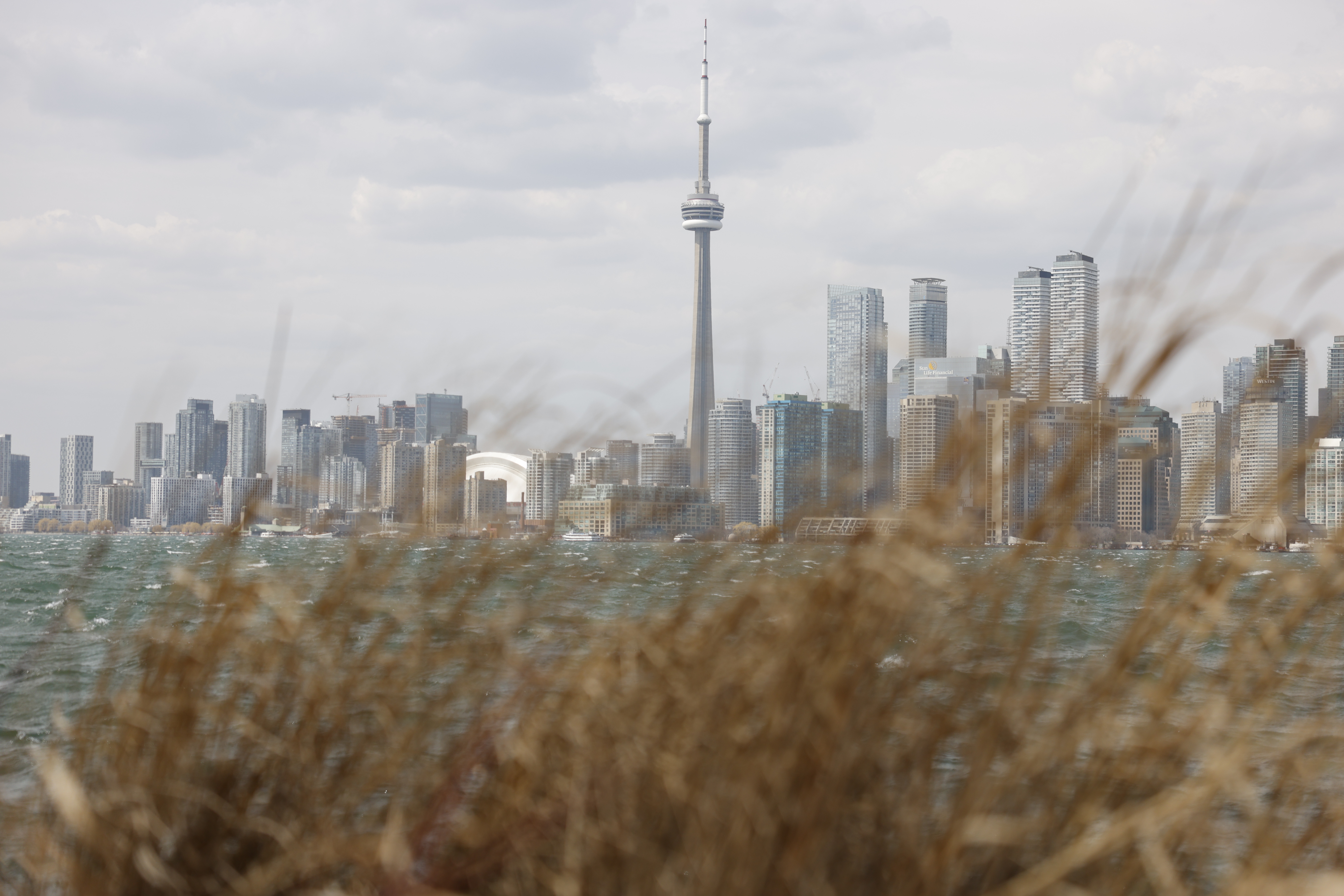 The Toronto skyline is pictured from Algonquin Island in Toronto. Lance McMillan/Toronto Star April-11-2023