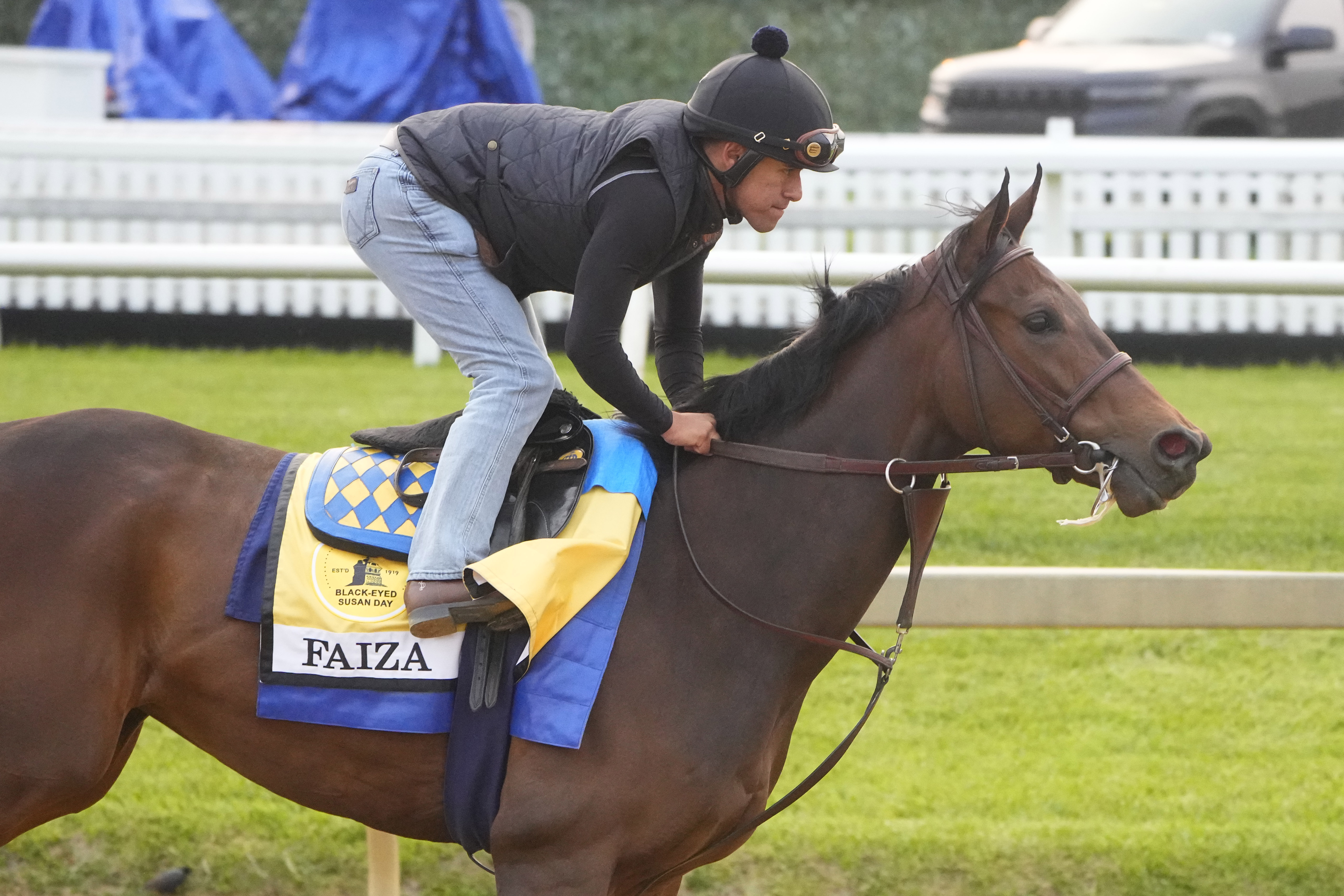 Black Eyed Susan Stakes contender Faiza trains Wednesday morning at Pimlico Race Track.