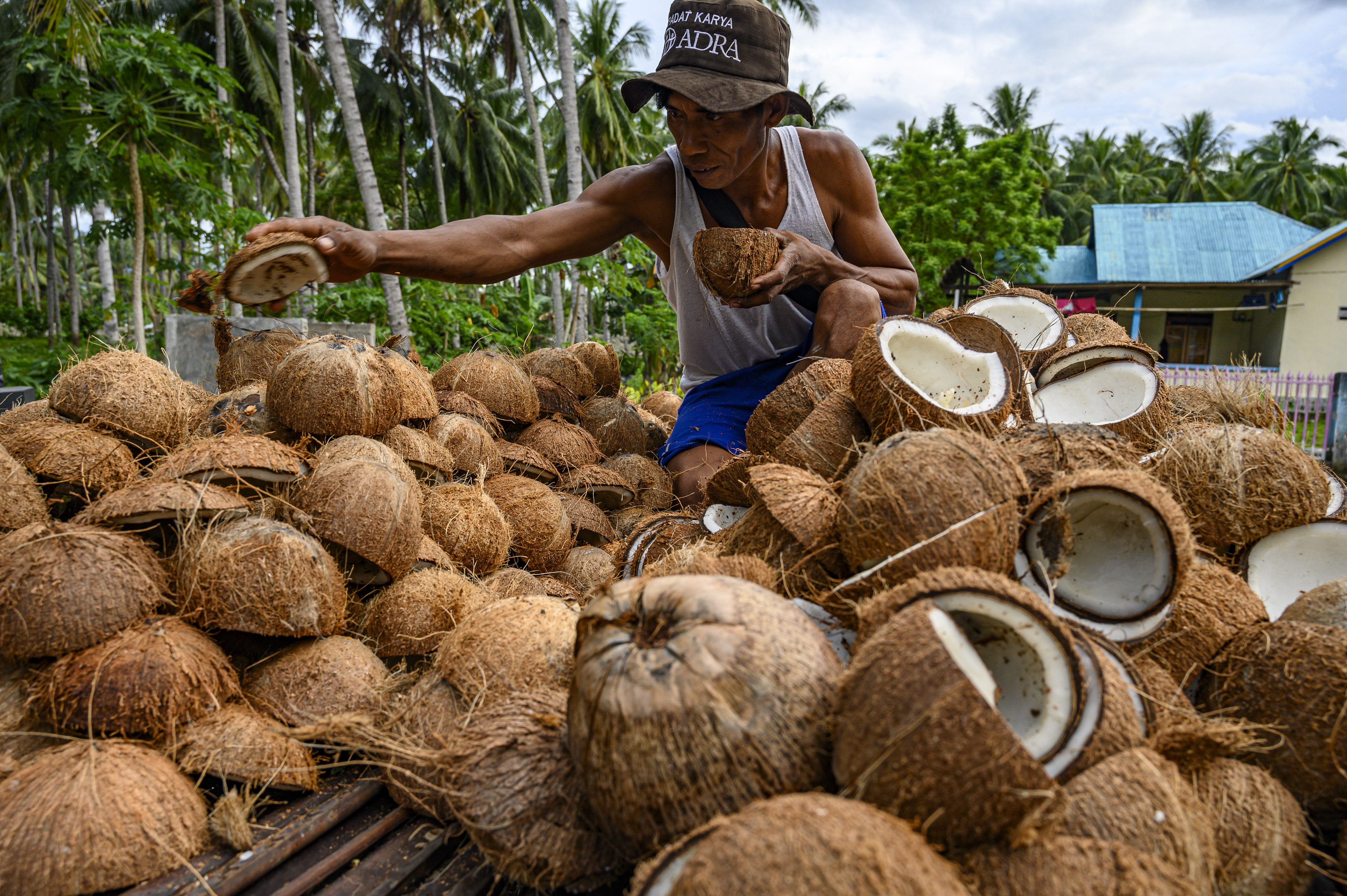 A farmer stands behind a pile of split coconuts.