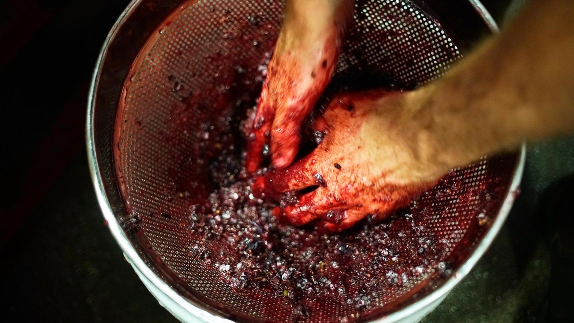 A close shot of a pair of hands macerating grapes in a large sieve