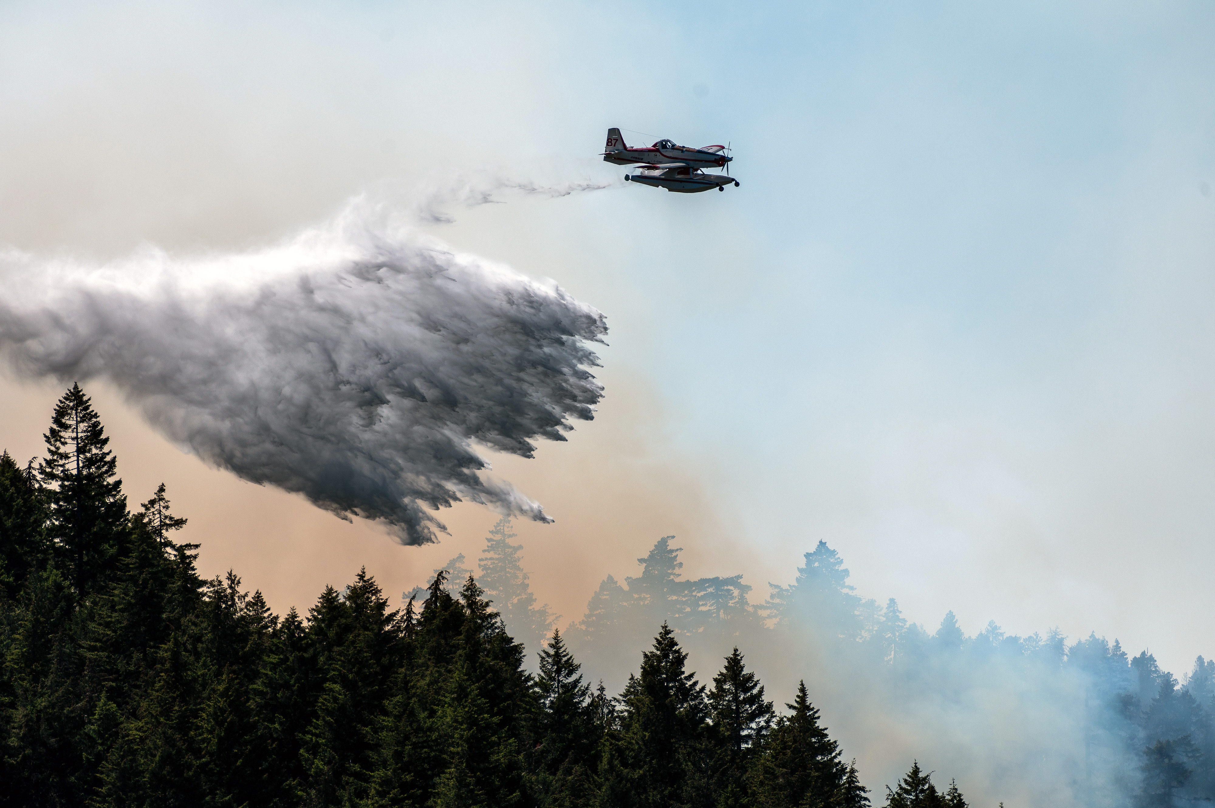 A plane drops a large cloud of water onto pine trees from above, and smoke rises into the air.