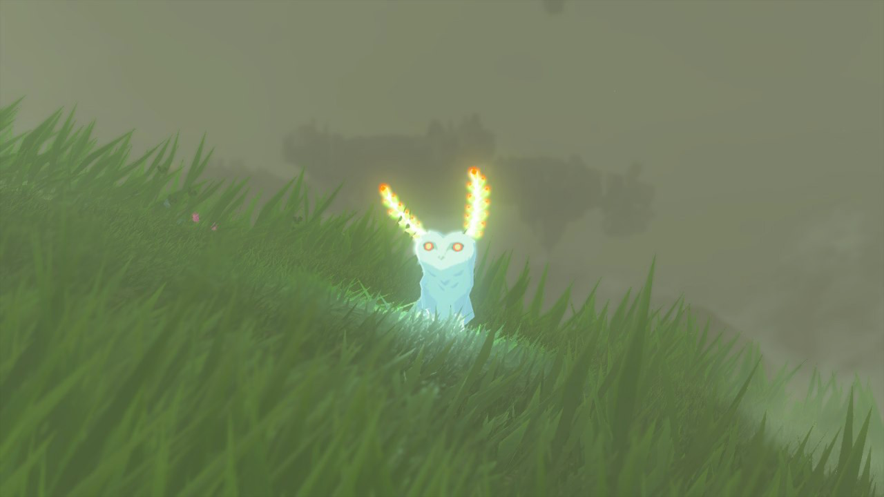 A blupee stands on a grass field in Zelda: Tears of the Kingdom