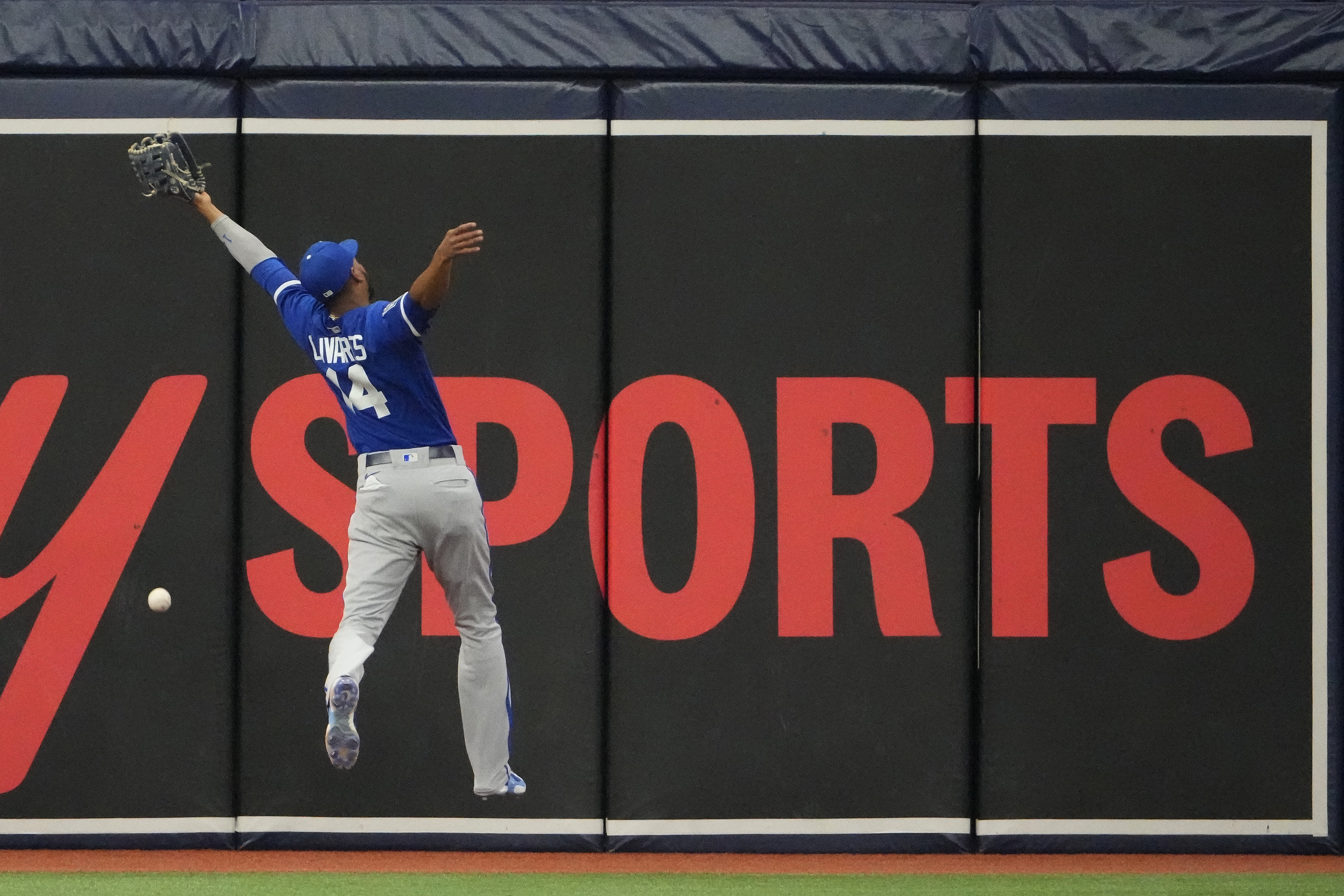Jun 24, 2023; St. Petersburg, Florida, USA; Kansas City Royals left fielder Edward Olivares (14) dives after a double hit by Tampa Bay Rays right fielder Vidal Brujan (7) during the second inning at Tropicana Field. 
