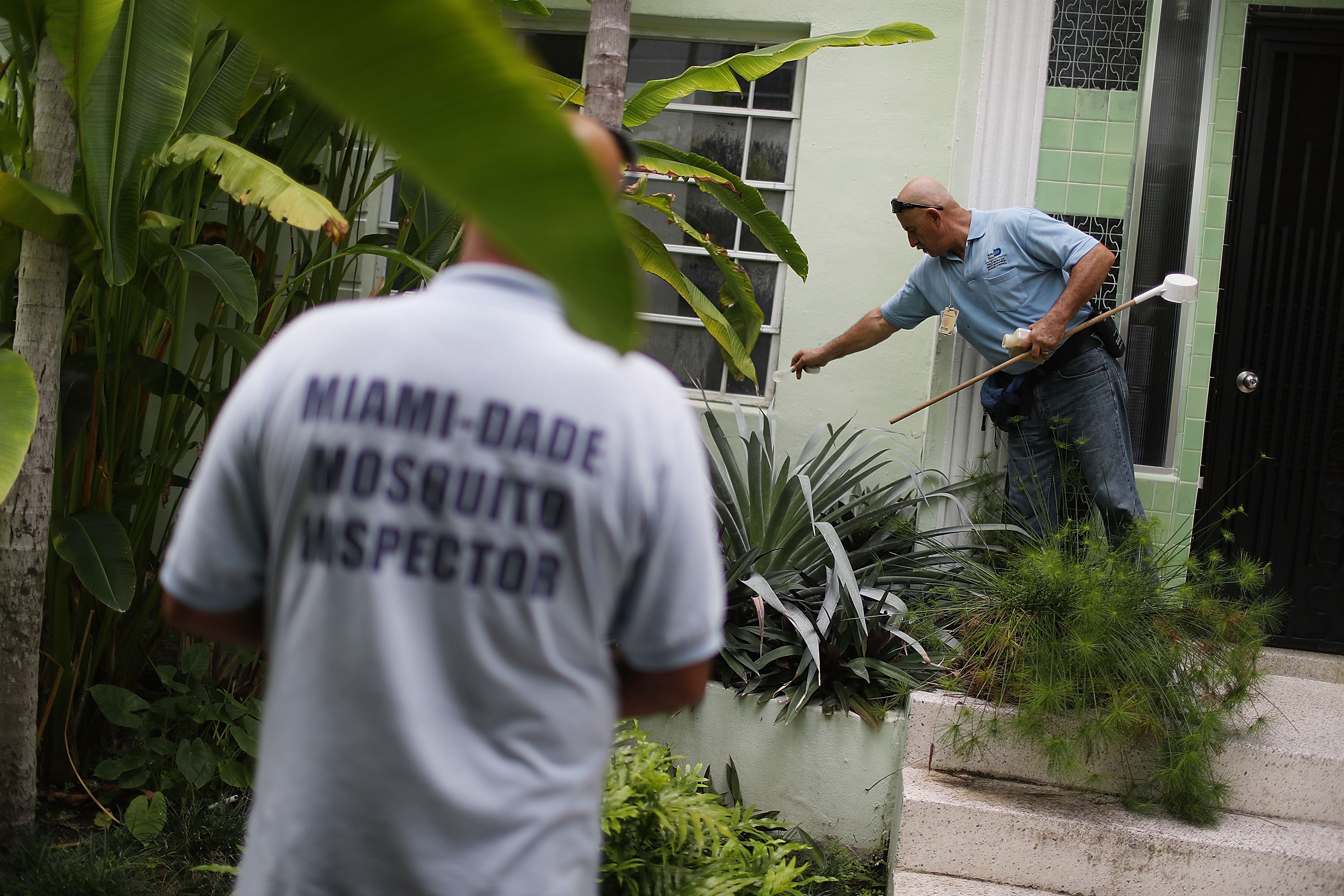 A man in a shirt reading “Miami-Dade Mosquito Inspector” stands outside a house with vegetation while another man spreads material on plants.