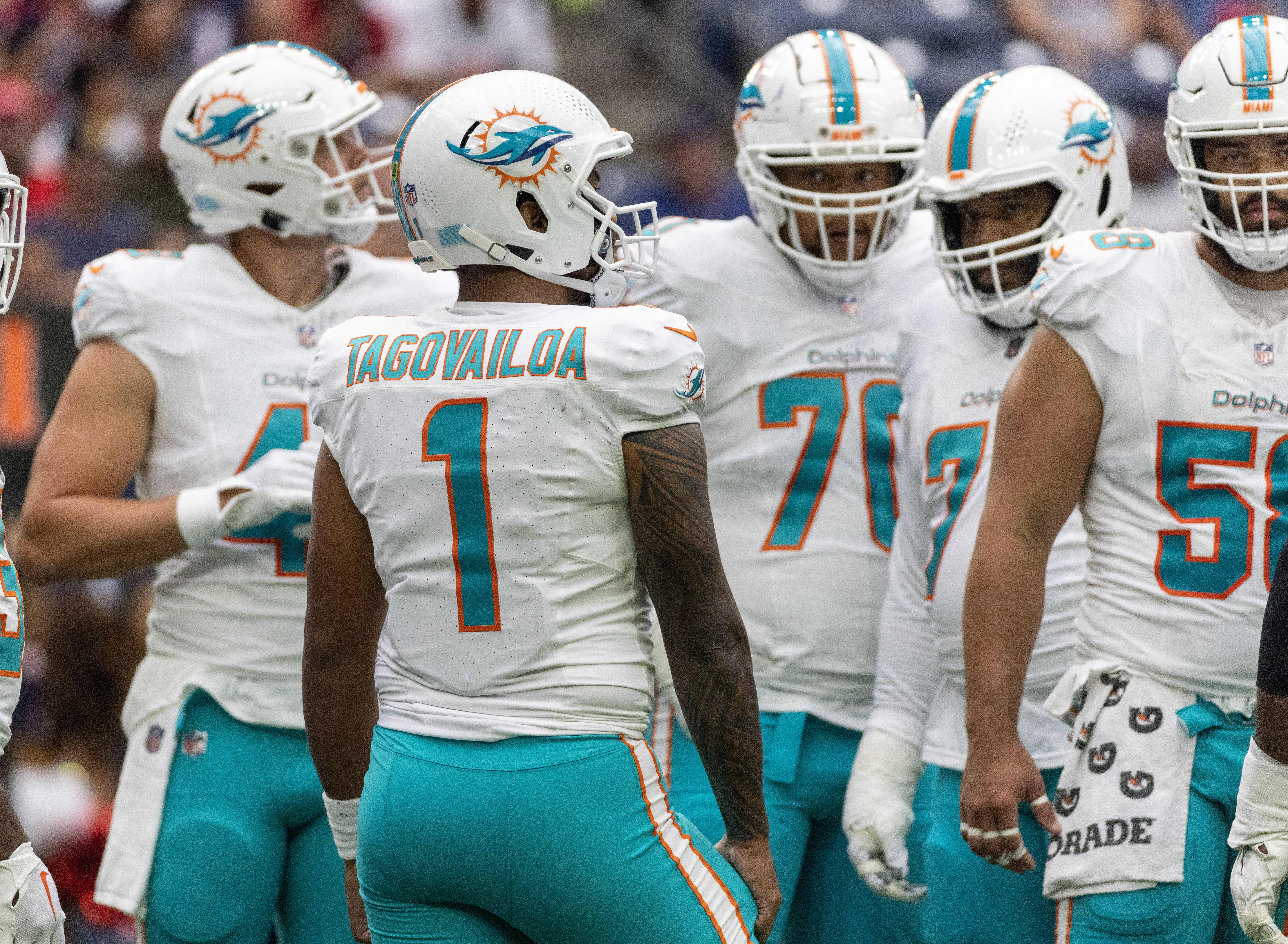 NFL: Preseason-Miami Dolphins at Houston Texans