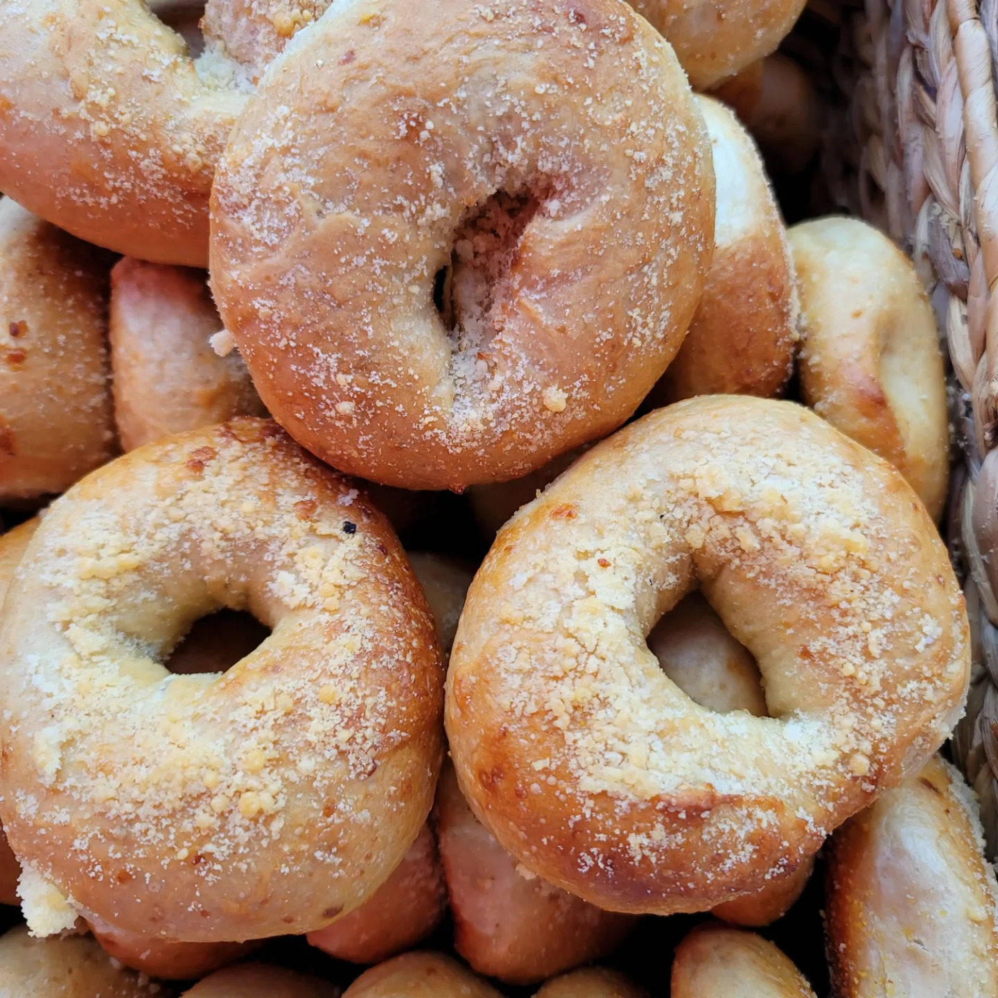 Rosemary sea salt bagels from The Bronx Bagel Buggy in Chamblee, GA.