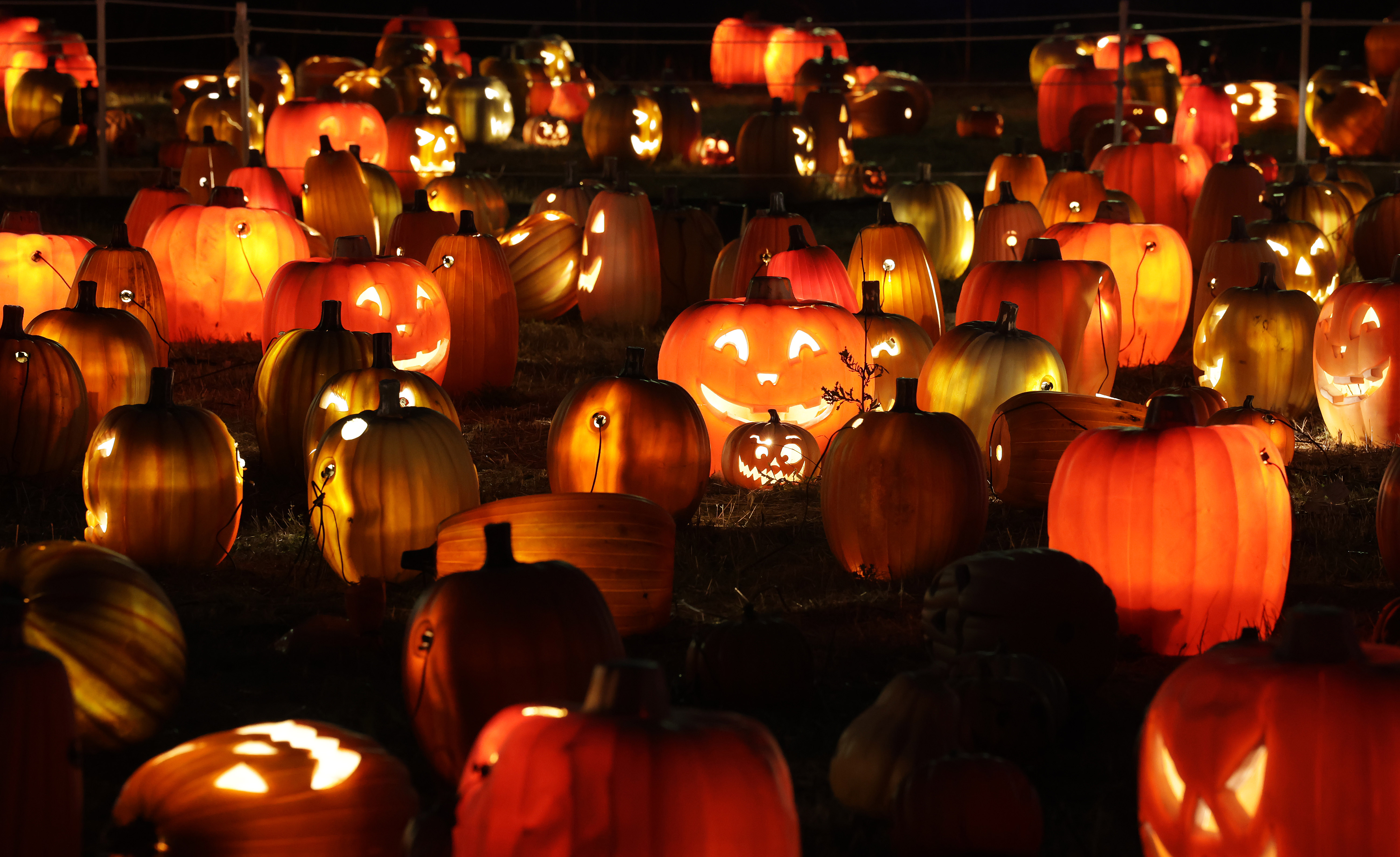 The Spooky at illumi Thematic universe will stun everybody with more than 1,500 jack-o-lanterns of all shapes &amp; sizes!