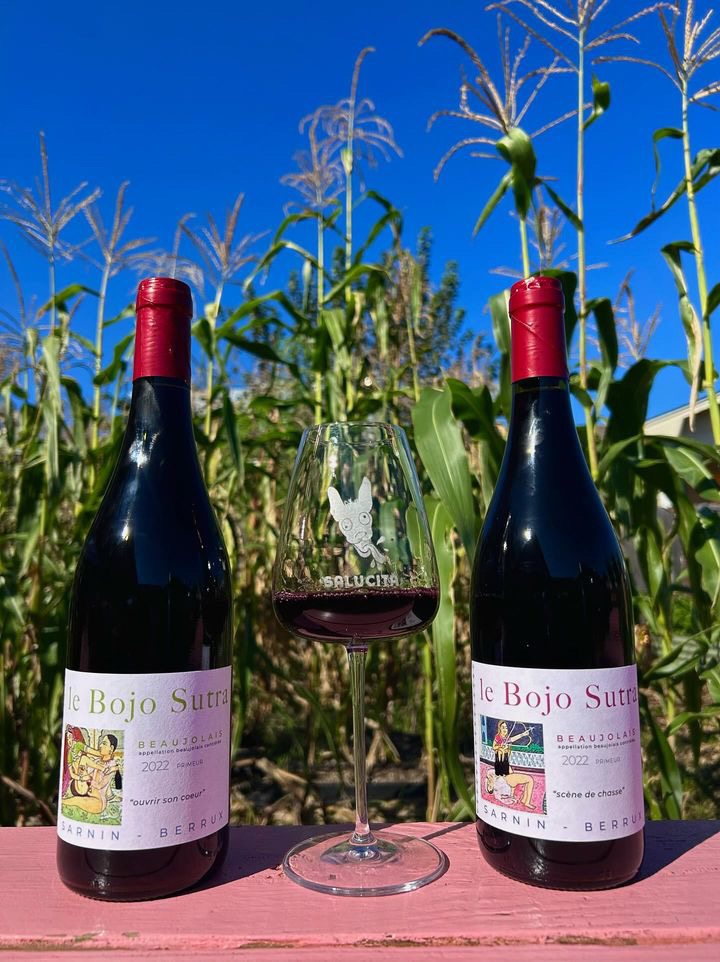 Two bottles of wine with a glass of wine on a pink table outside in front of green stalks.