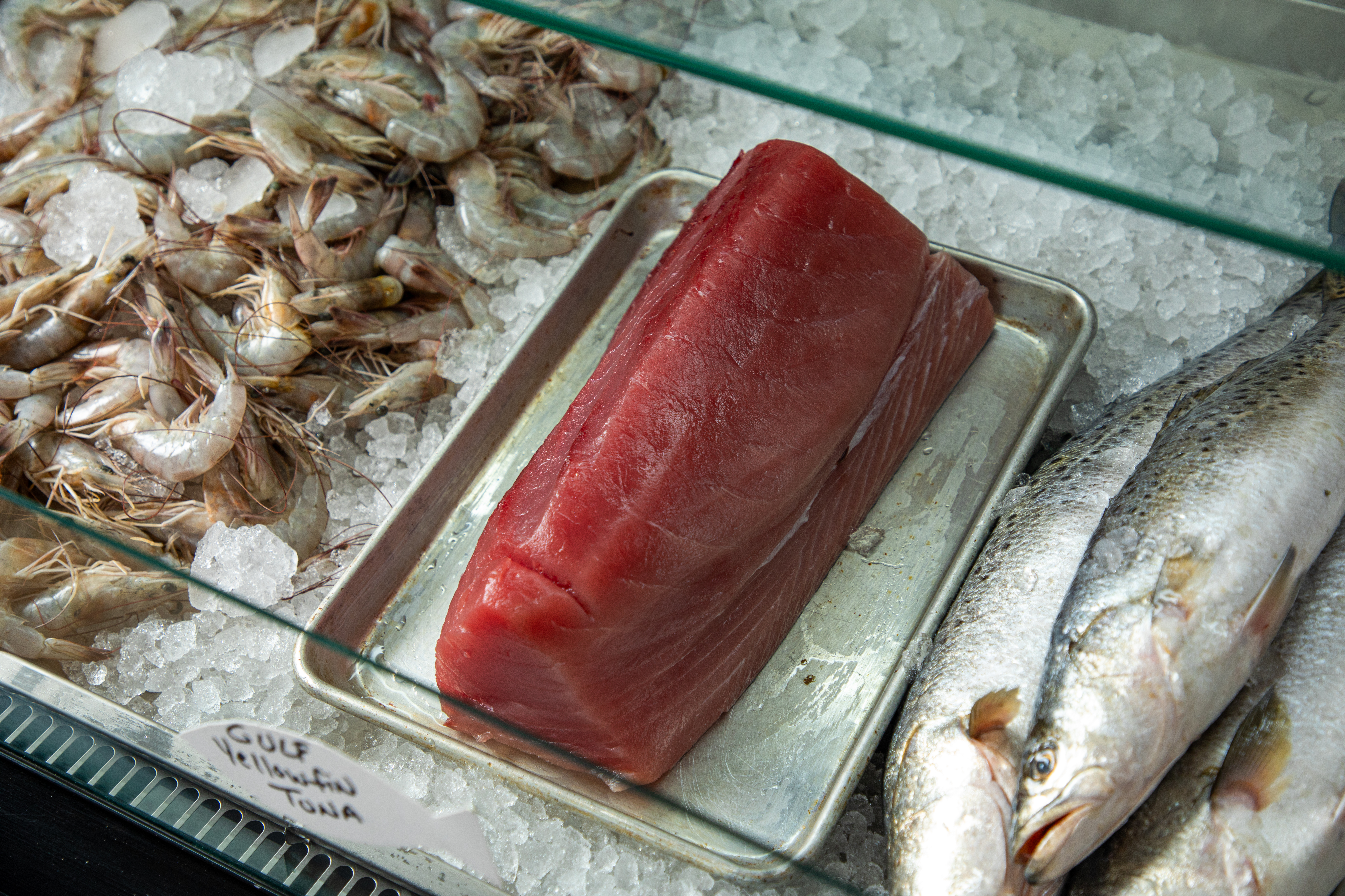 A glass case of shell-on shrimp, bright red tuna, and whole trout on ice.
