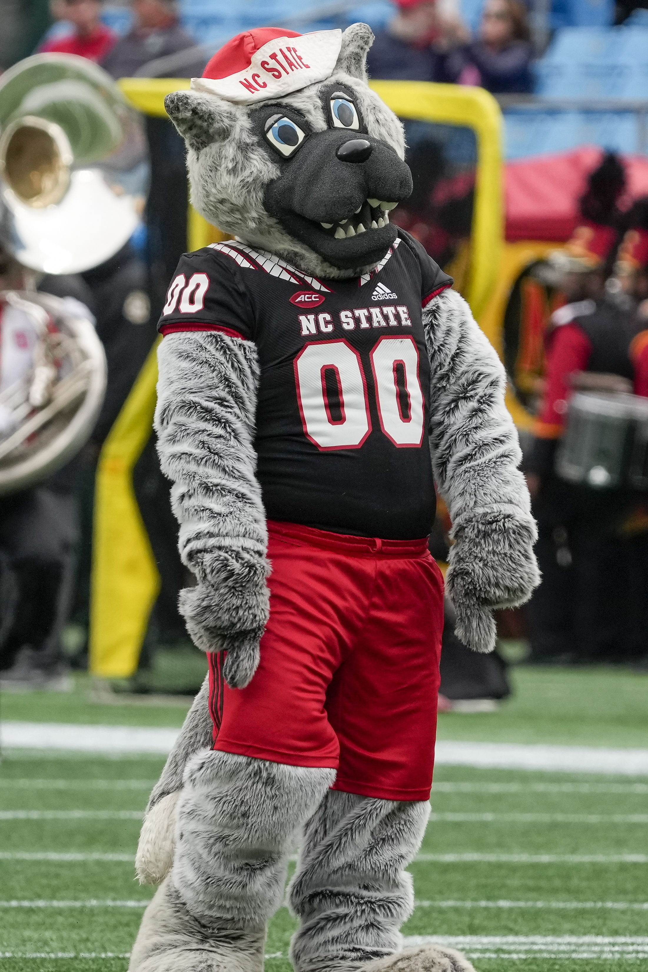 Dec 30, 2022; Charlotte, NC, USA; North Carolina State Wolfpack mascot Mr. Wolf during the first half against the Maryland Terrapins in the 2022 Duke’s Mayo Bowl at Bank of America Stadium.