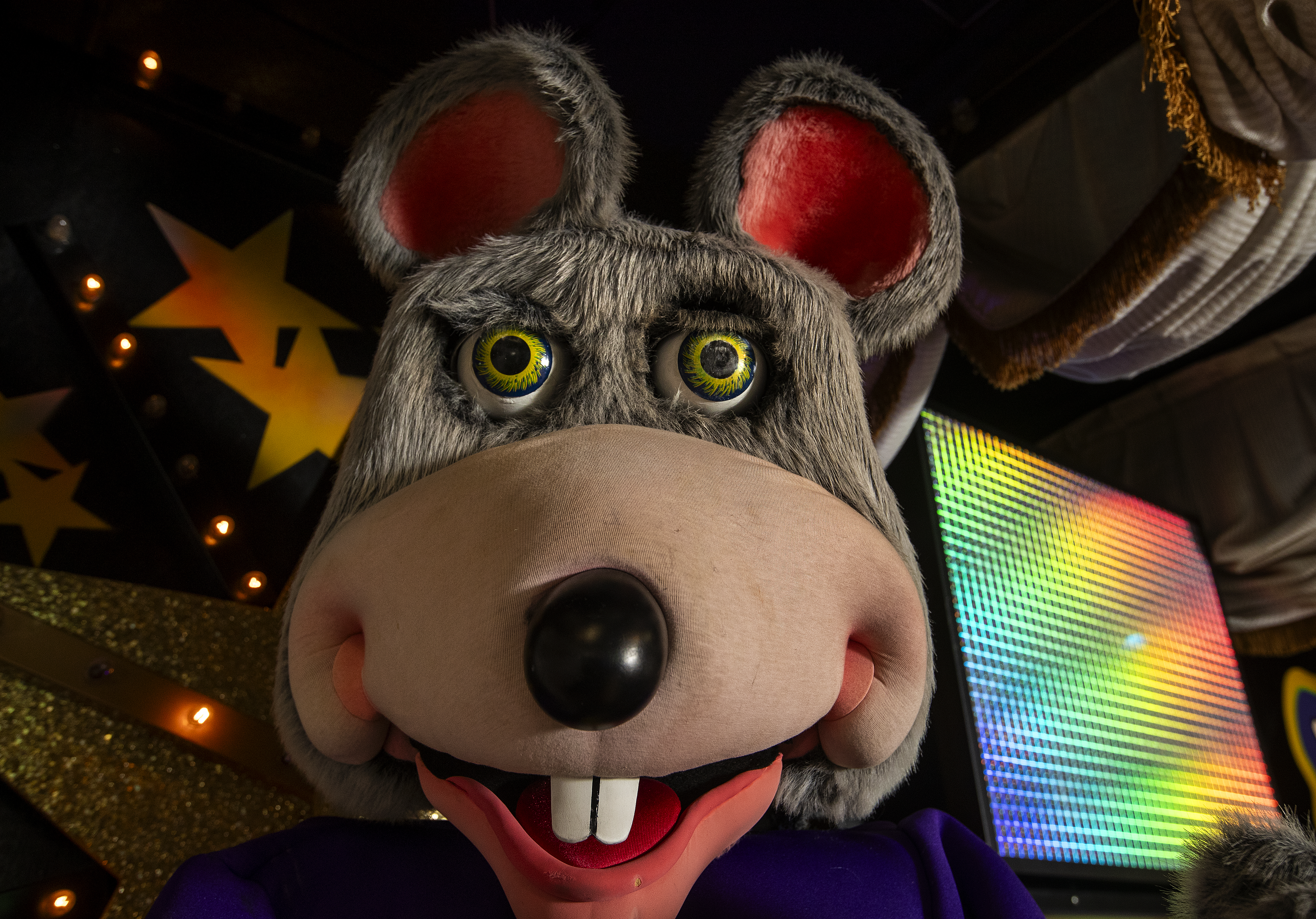 A close up shot of the head of an animatronic Chuck E. Cheese 
