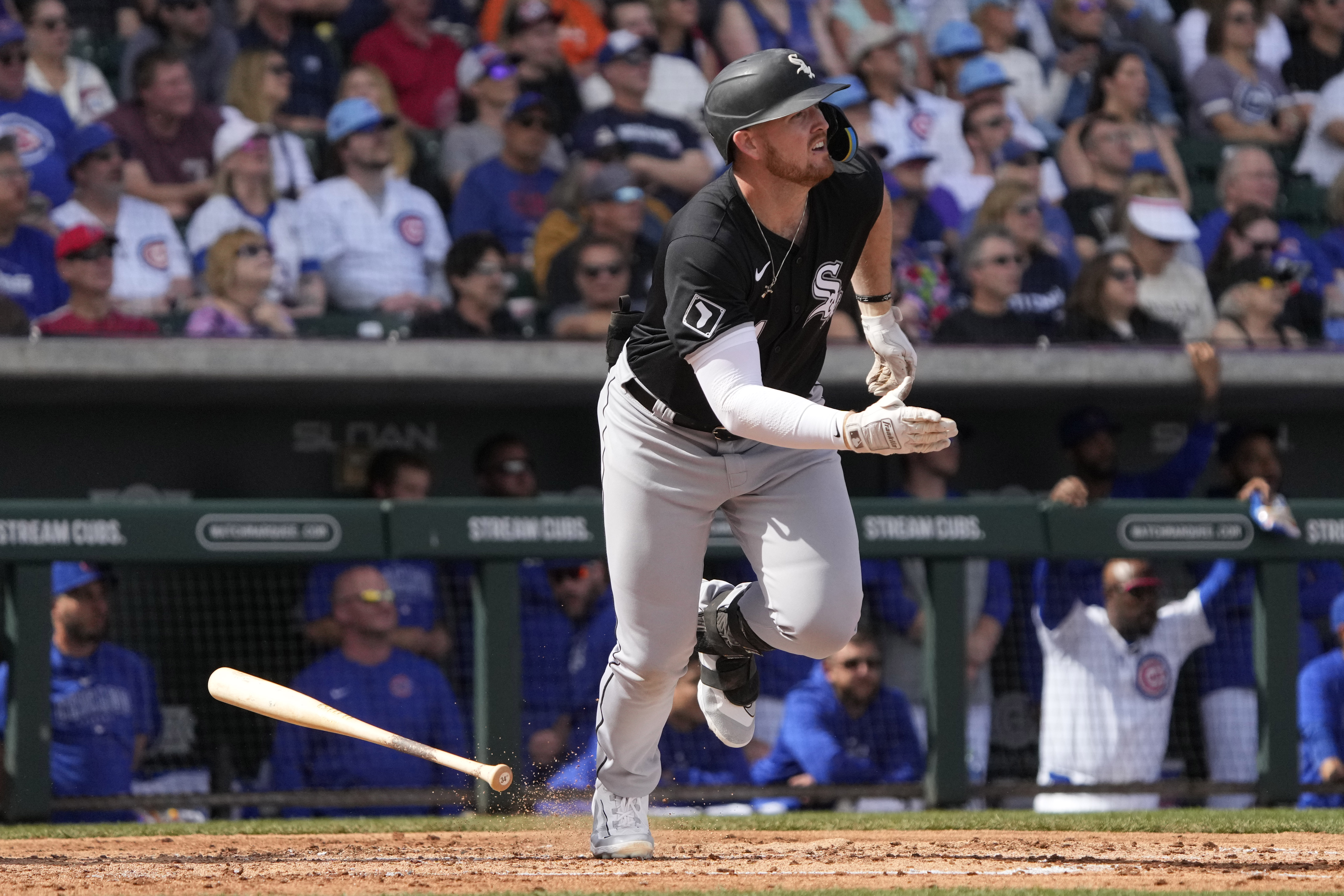 MLB: Spring Training-Chicago White Sox at Chicago Cubs