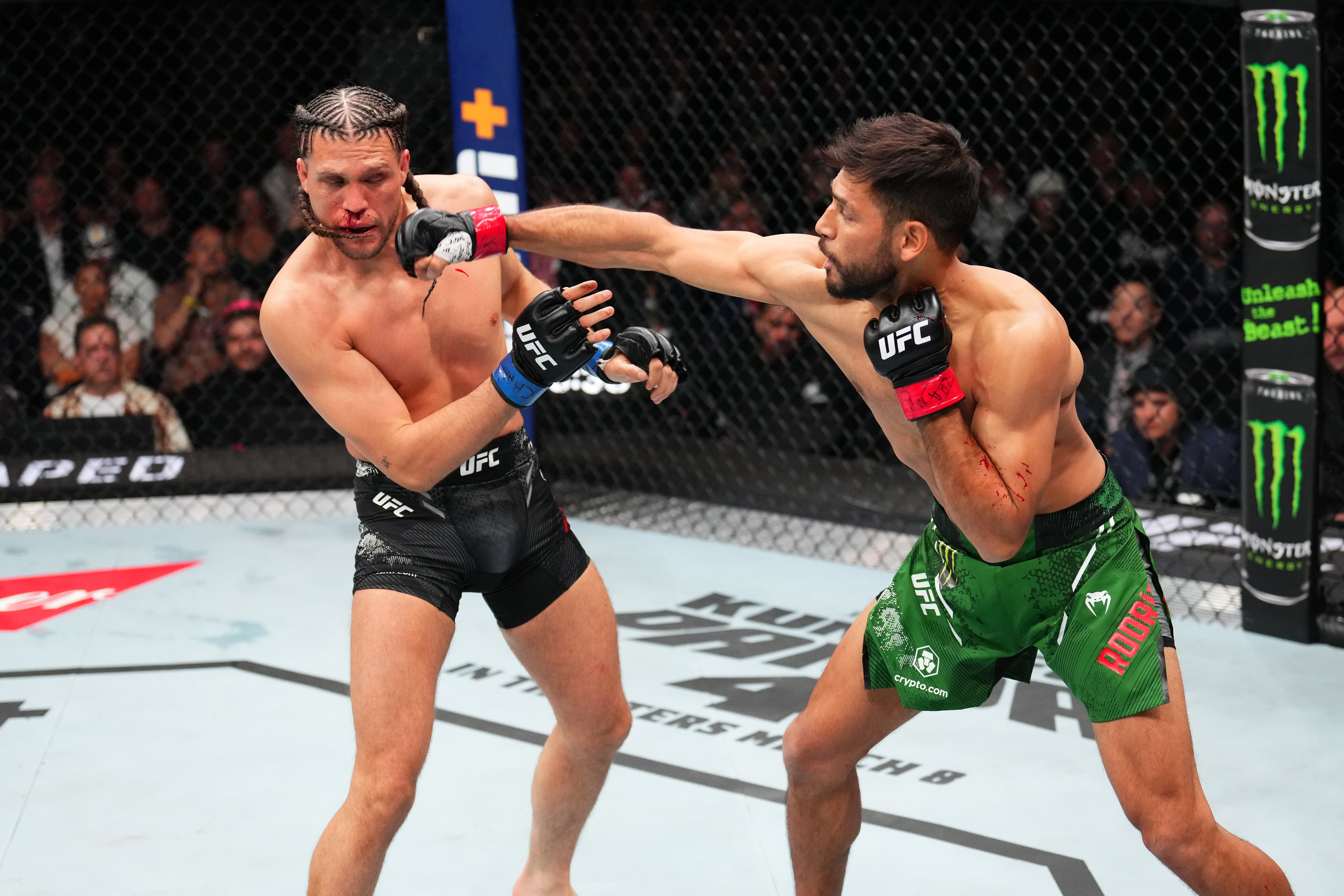 UFC Fight Night: Rodriguez v Ortega
